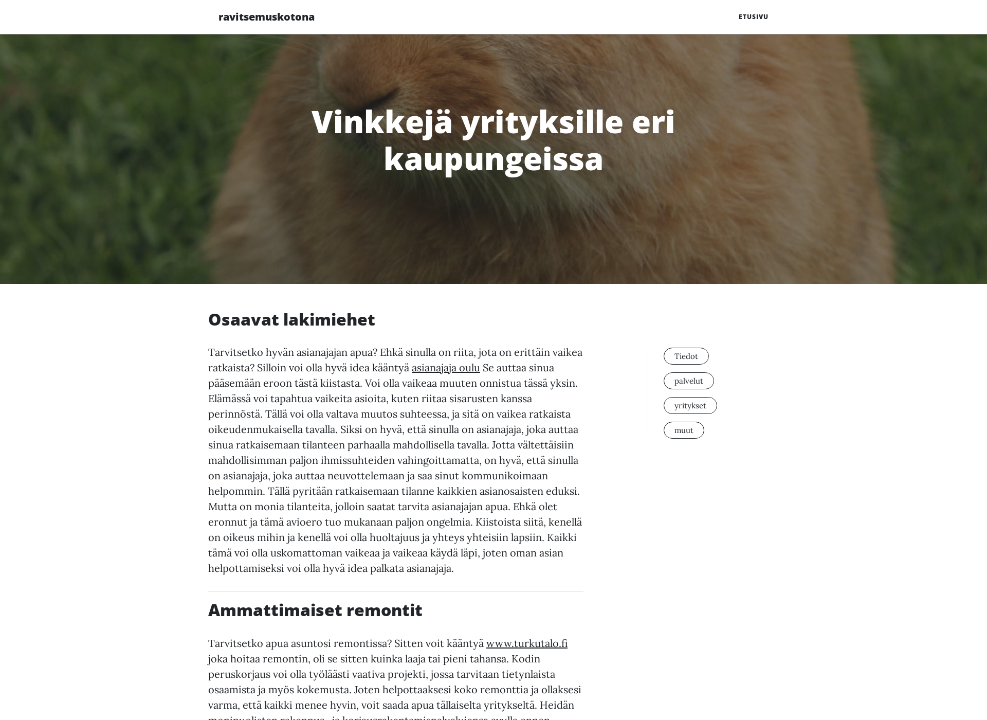 Screenshot for ravitsemuskotona.fi