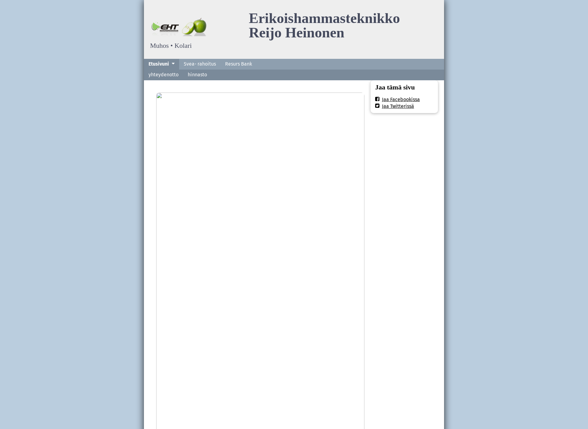 Skärmdump för reijoheinonen.fi