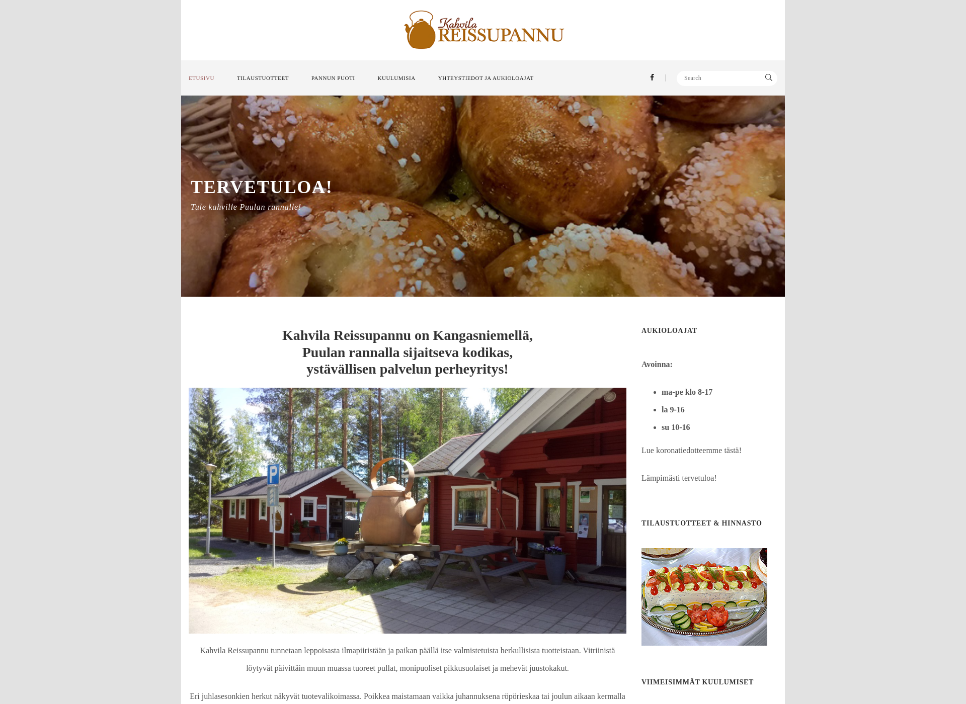 Screenshot for reissupannu.fi