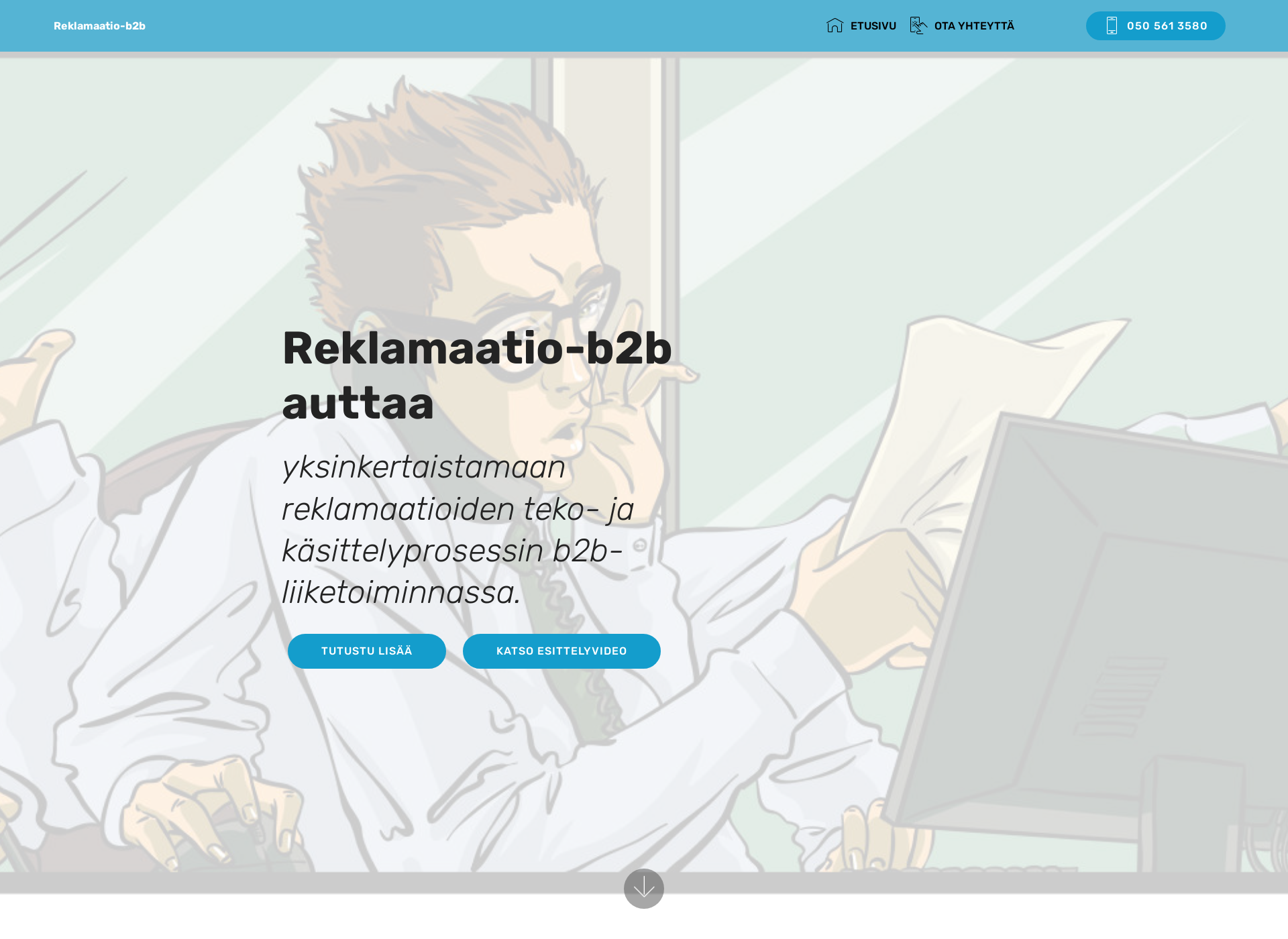 Screenshot for reklamaatio-b2b.fi