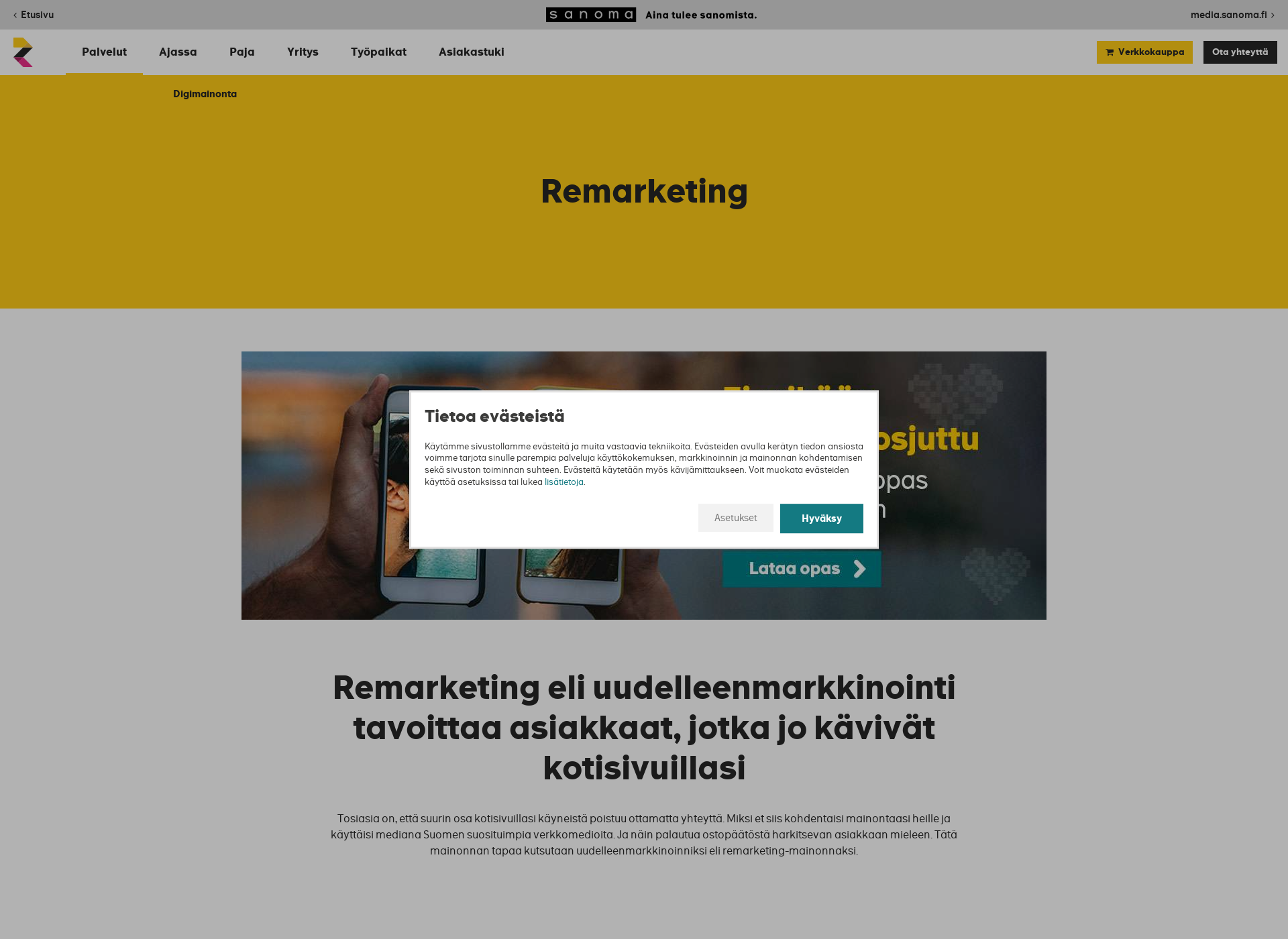 Skärmdump för remarketing.fi