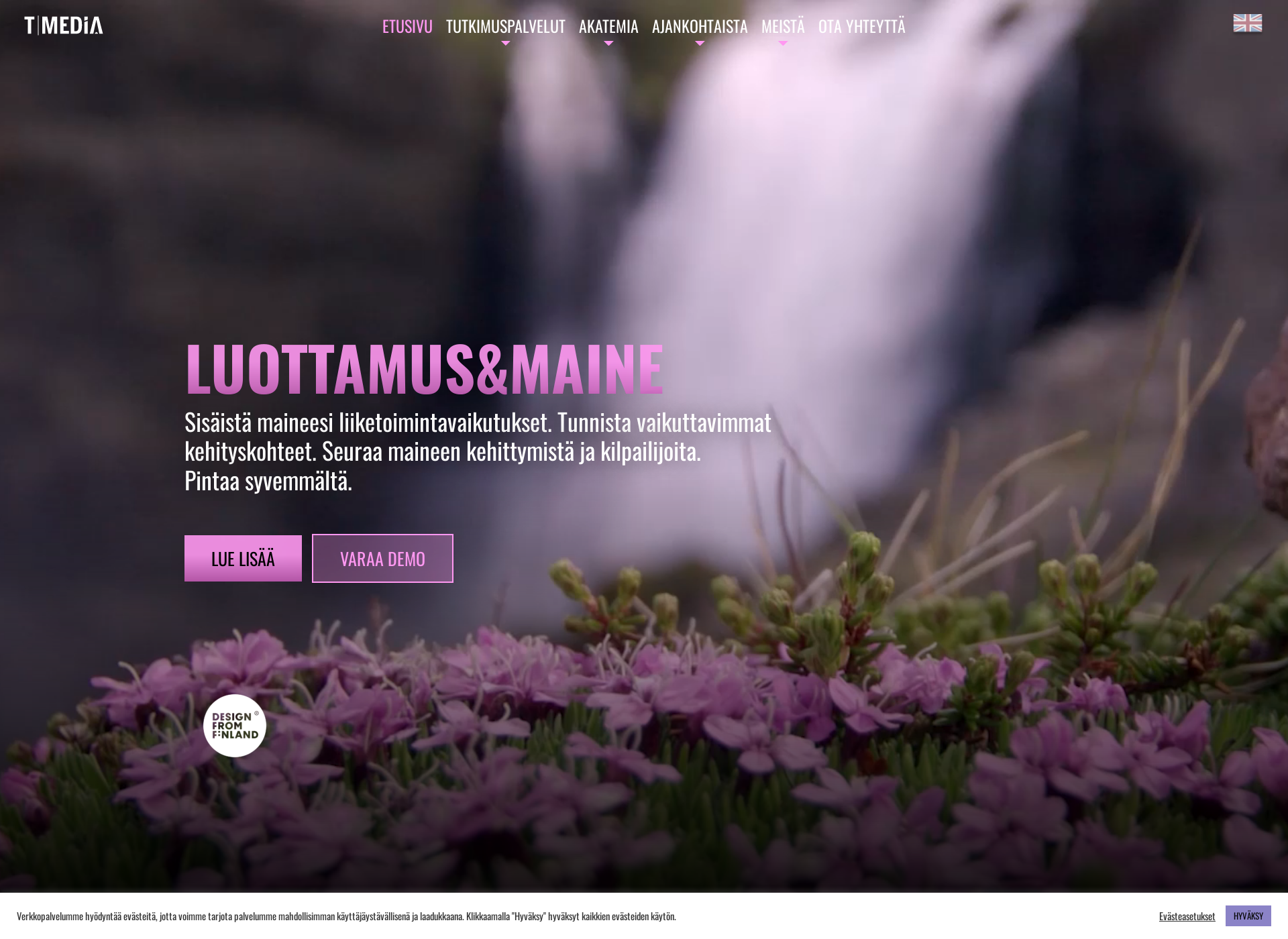 Screenshot for reputationanalytica.fi