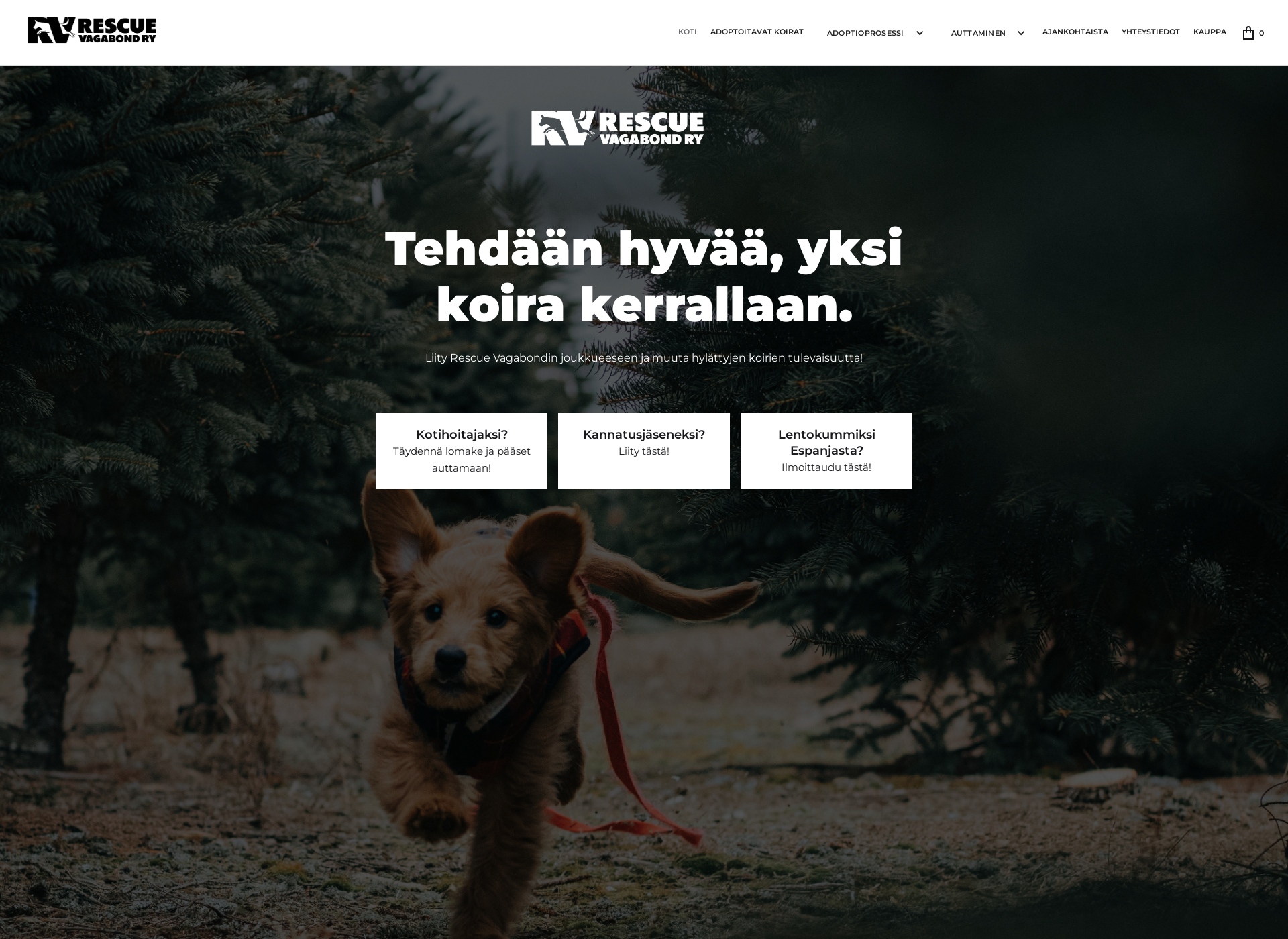 Näyttökuva rescuevagabond.fi