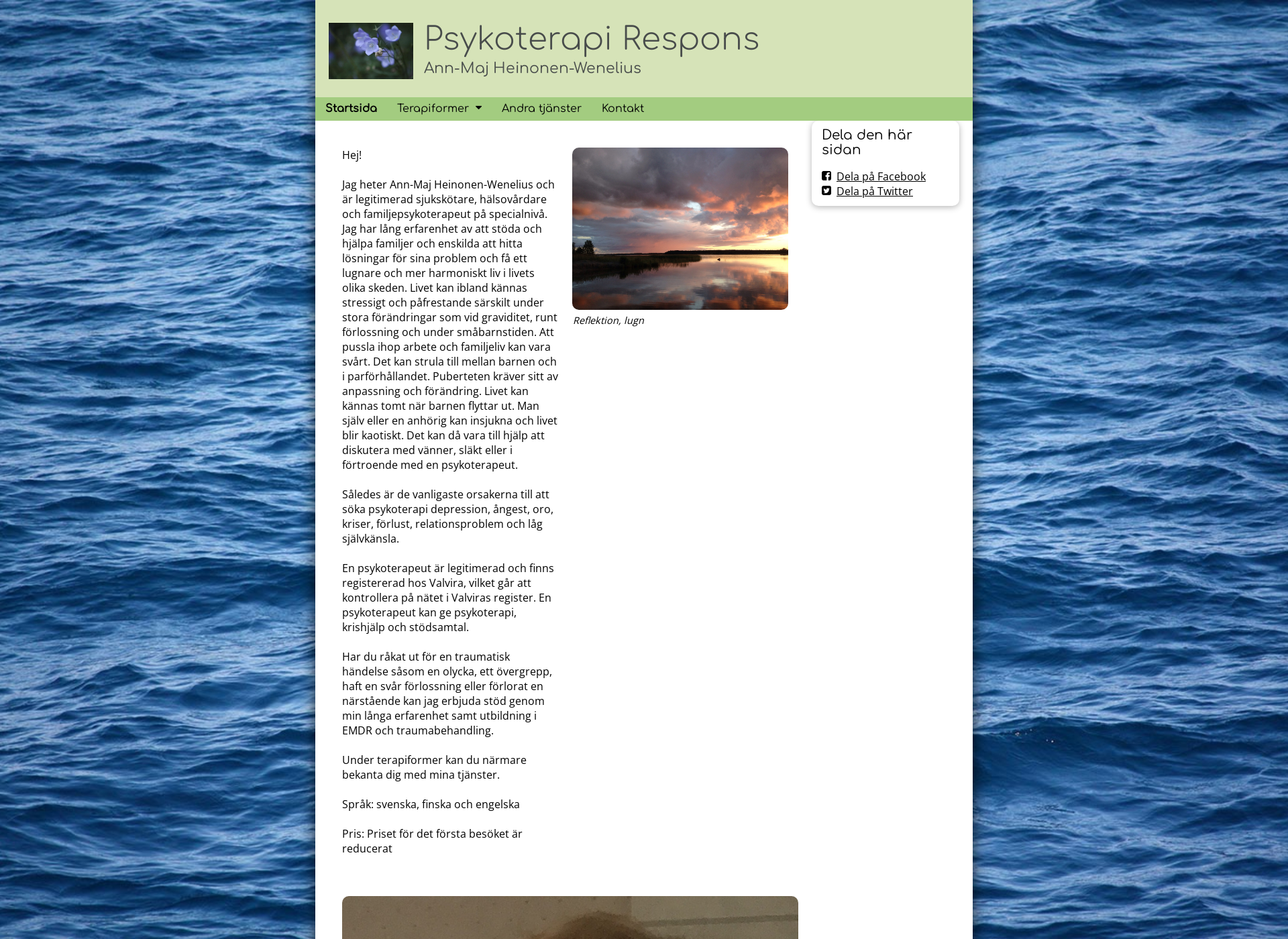 Skärmdump för respons-psykoterapi.fi