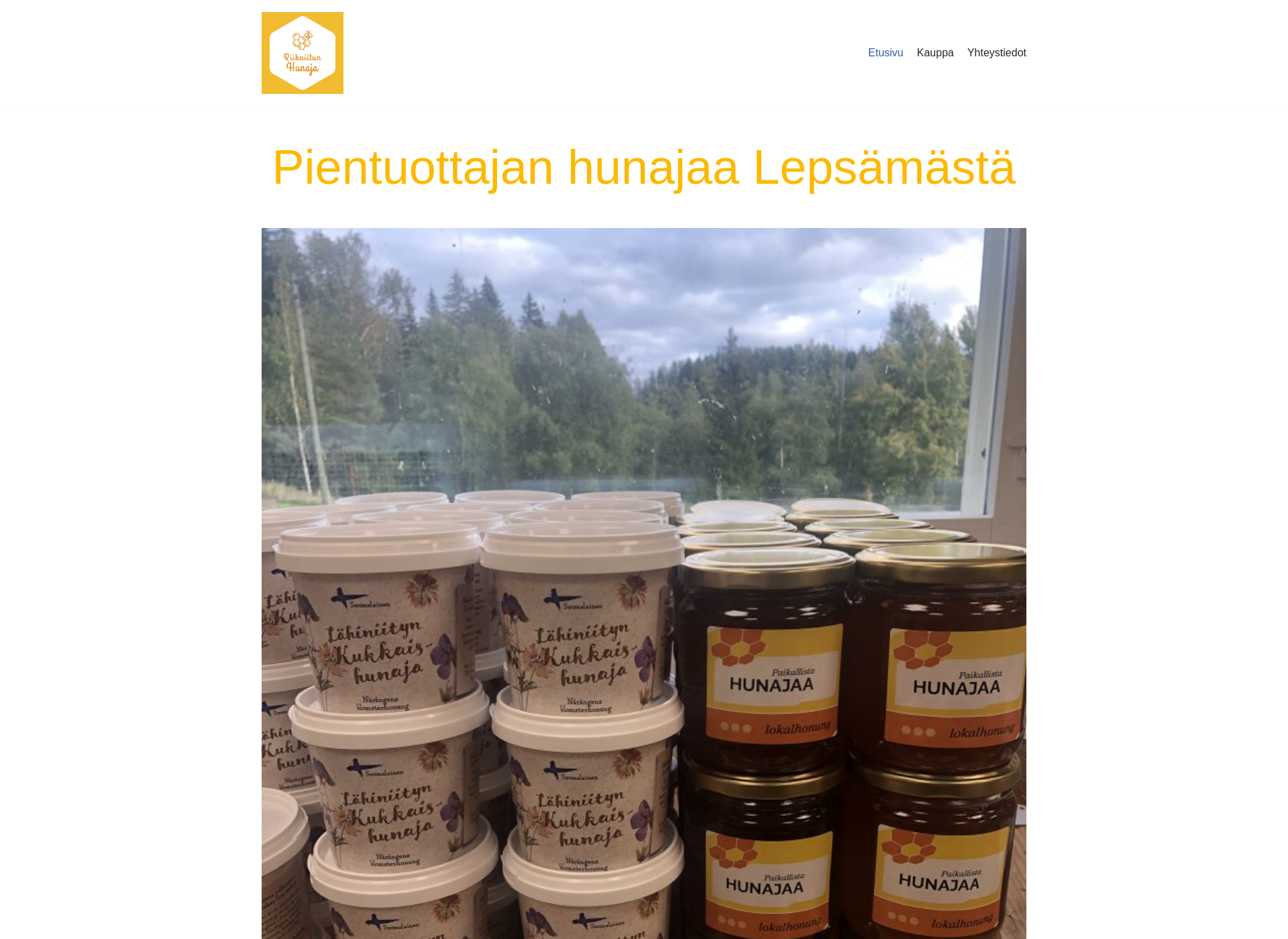 Skärmdump för riikniitunhunaja.fi
