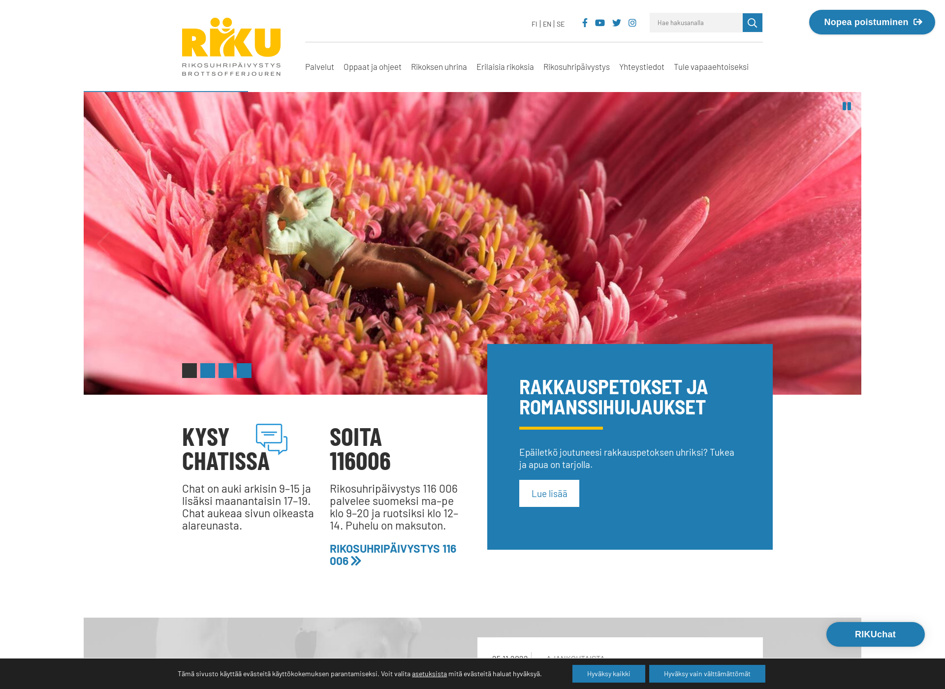 Screenshot for rikunet.fi