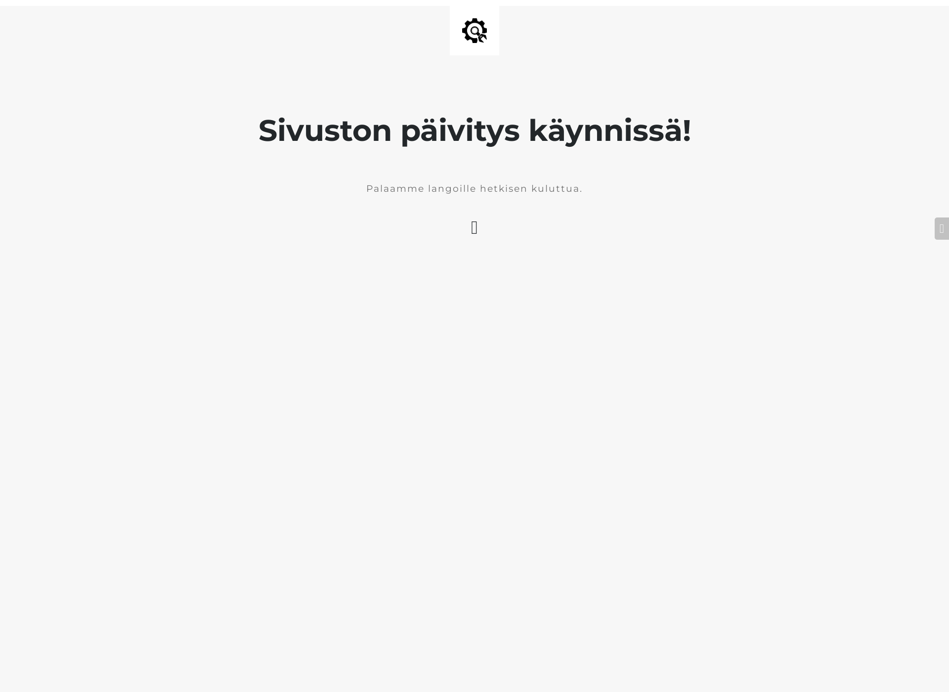 Skärmdump för rimacon.fi