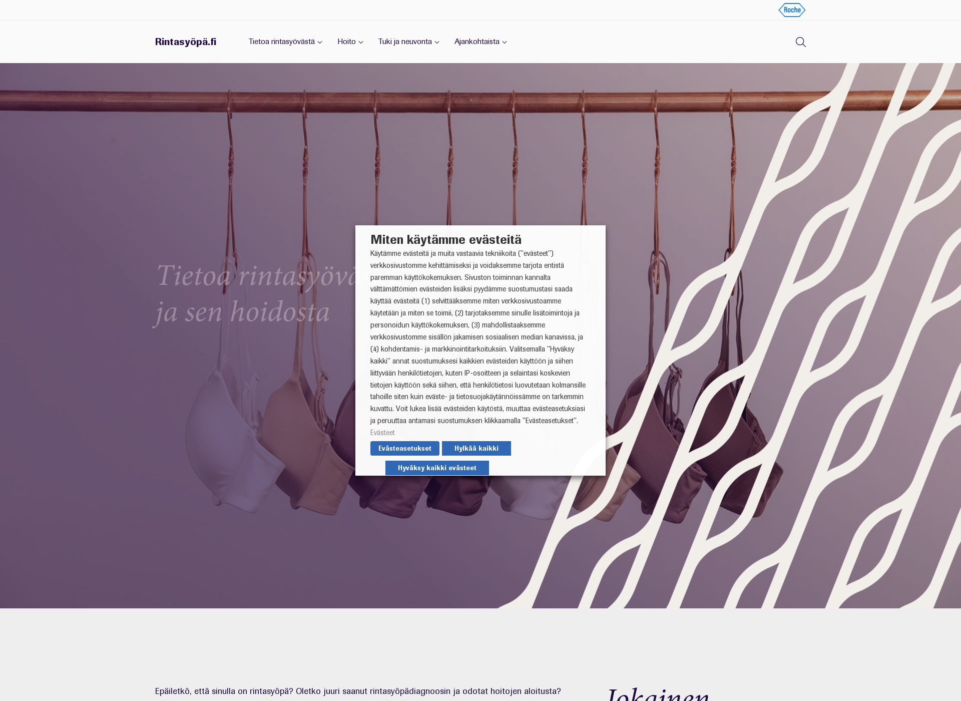 Screenshot for rintasyöpä.fi