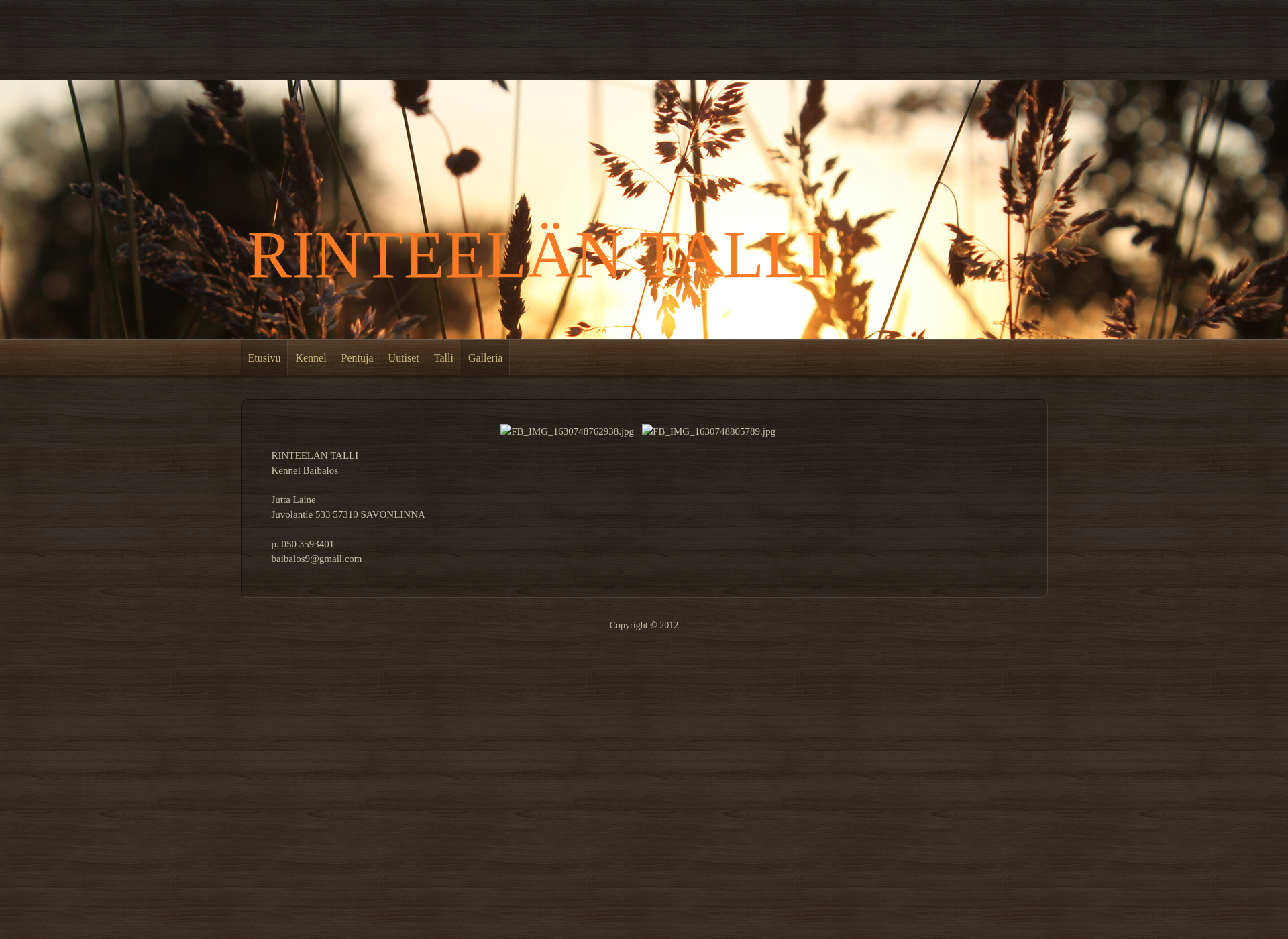 Screenshot for rinteelantalli.fi