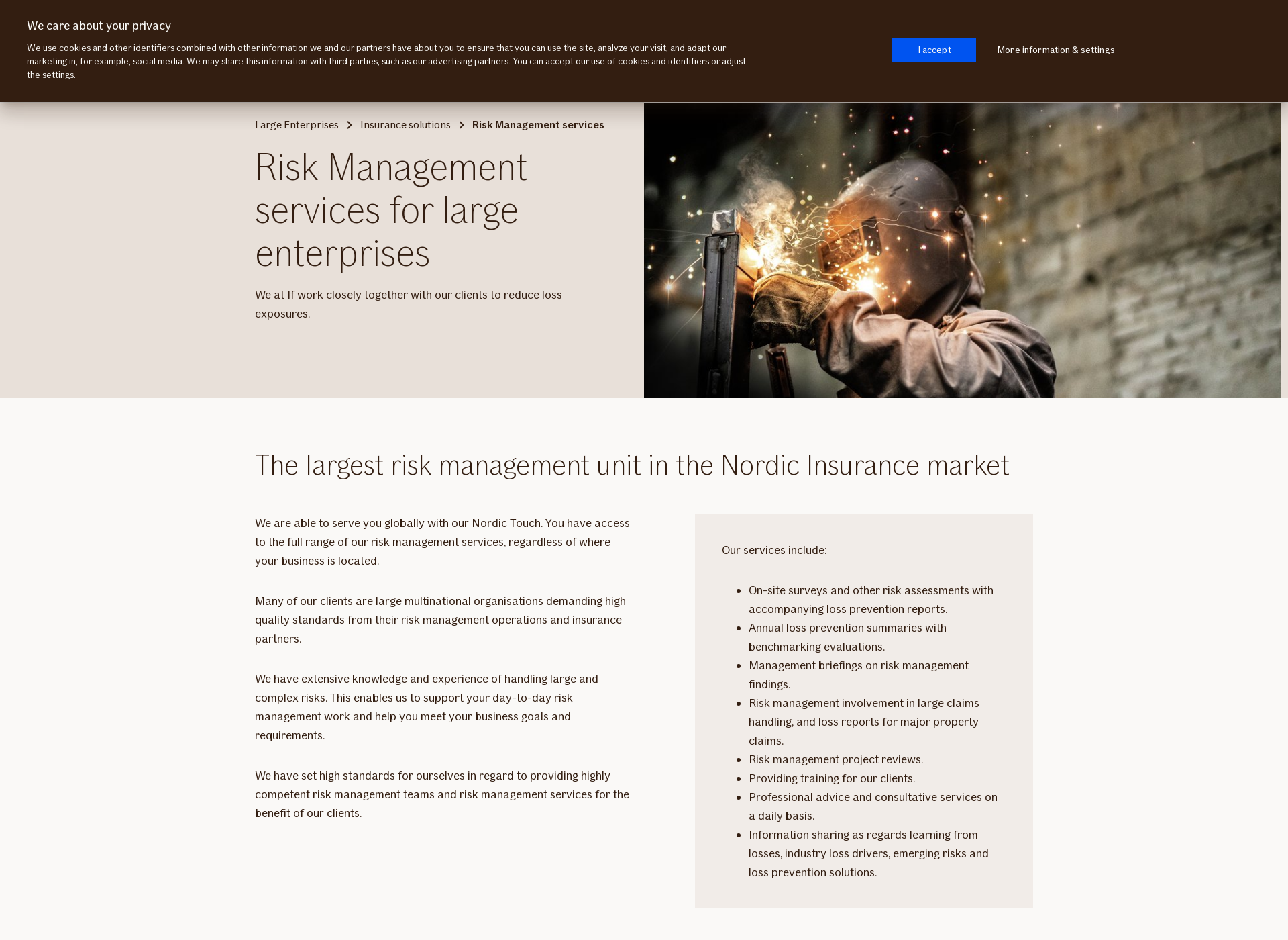 Screenshot for riskienhallinta.fi