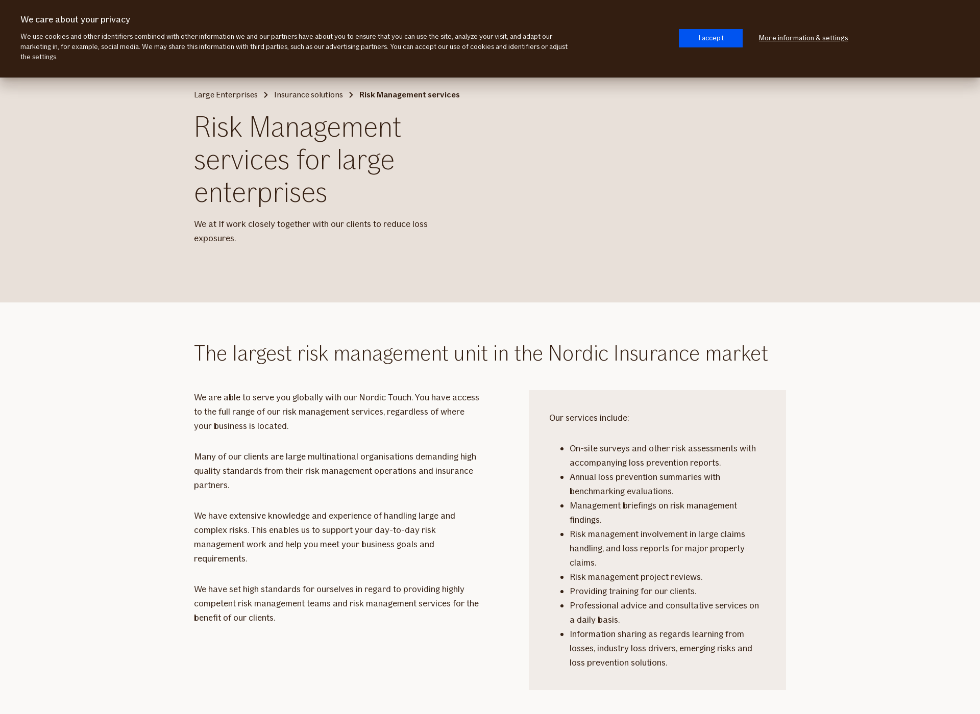 Screenshot for riskmanagement.fi