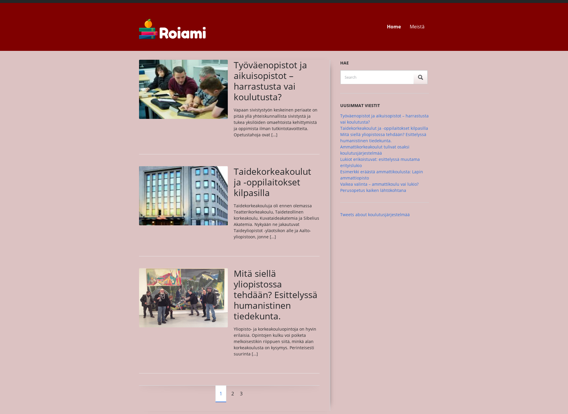 Skärmdump för roiami.fi