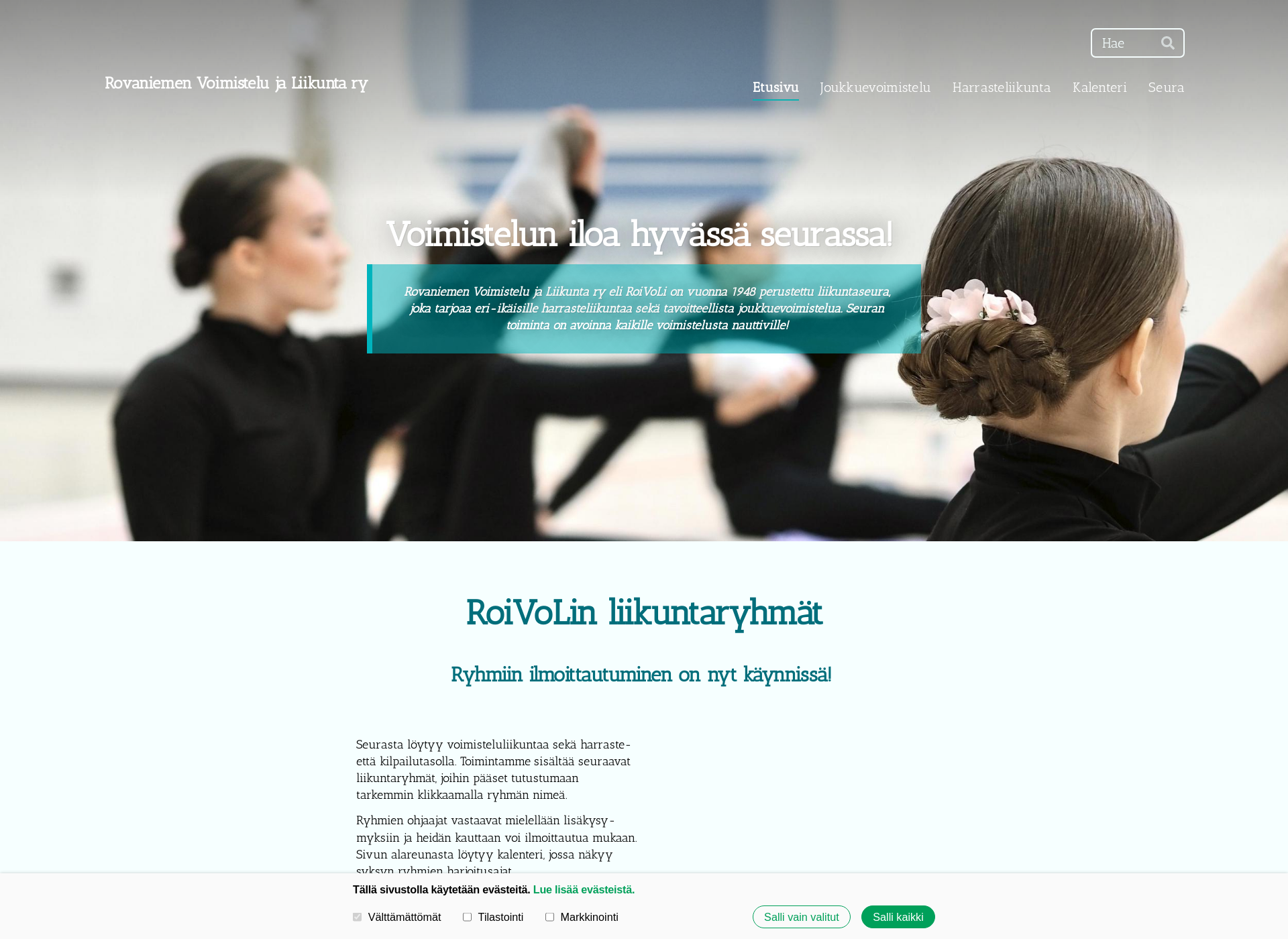 Screenshot for roivoli.fi