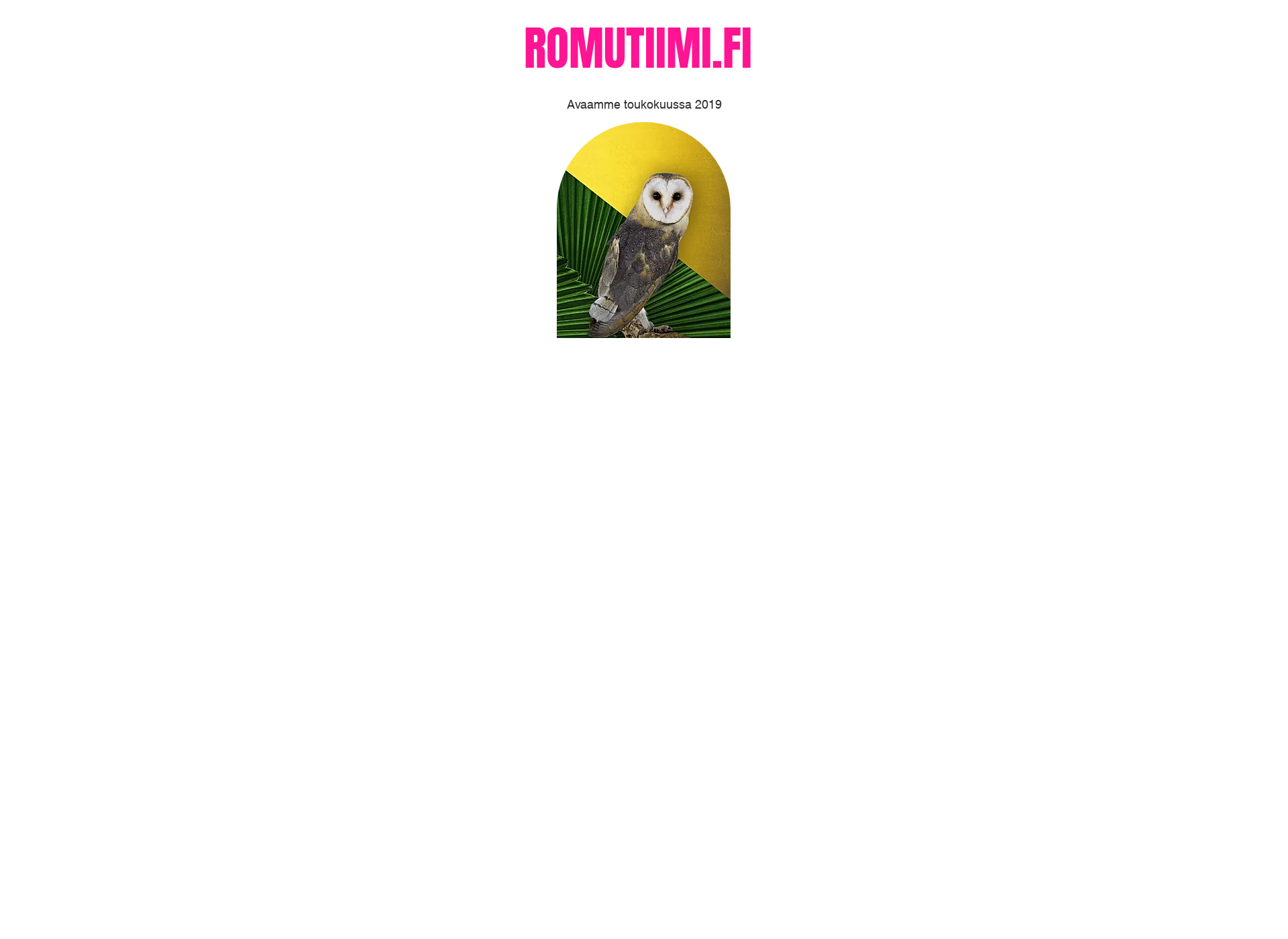 Screenshot for romutiimi.fi