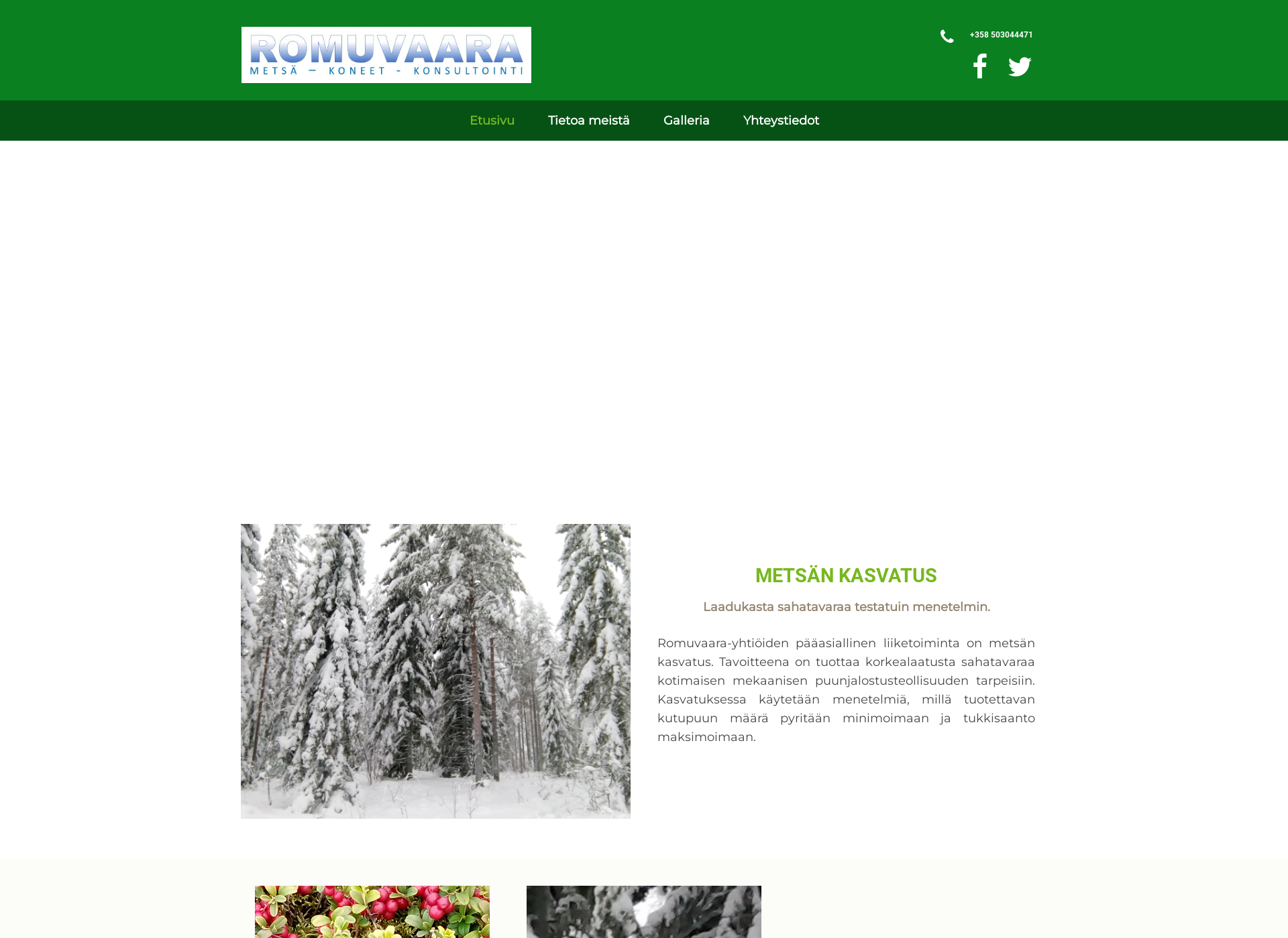 Screenshot for romuvaara.fi