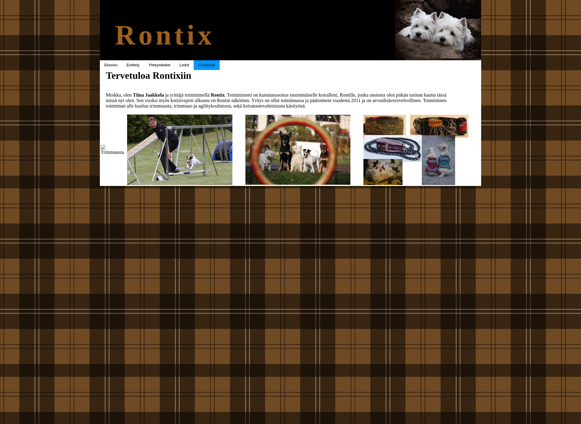 Screenshot for rontix.fi