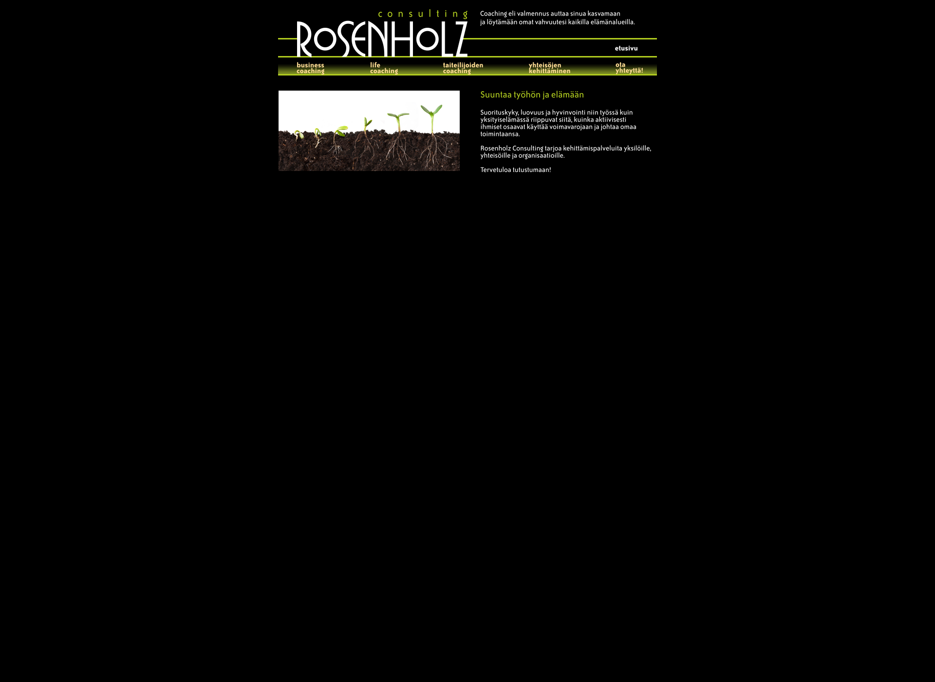 Skärmdump för rosenholz-consulting.fi