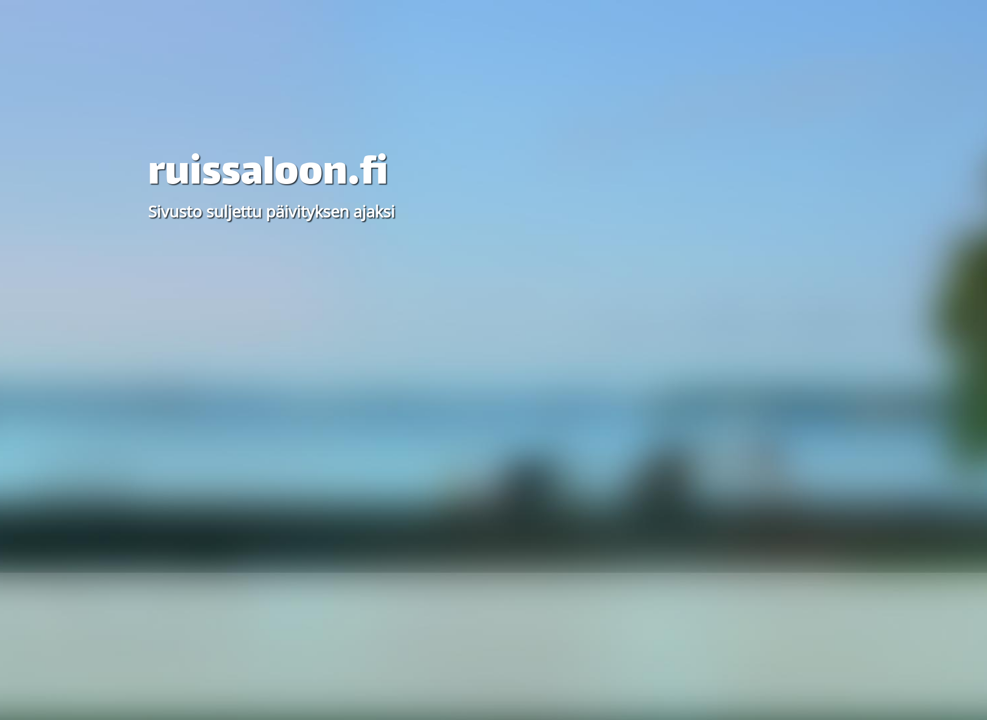 Screenshot for ruissaloon.fi