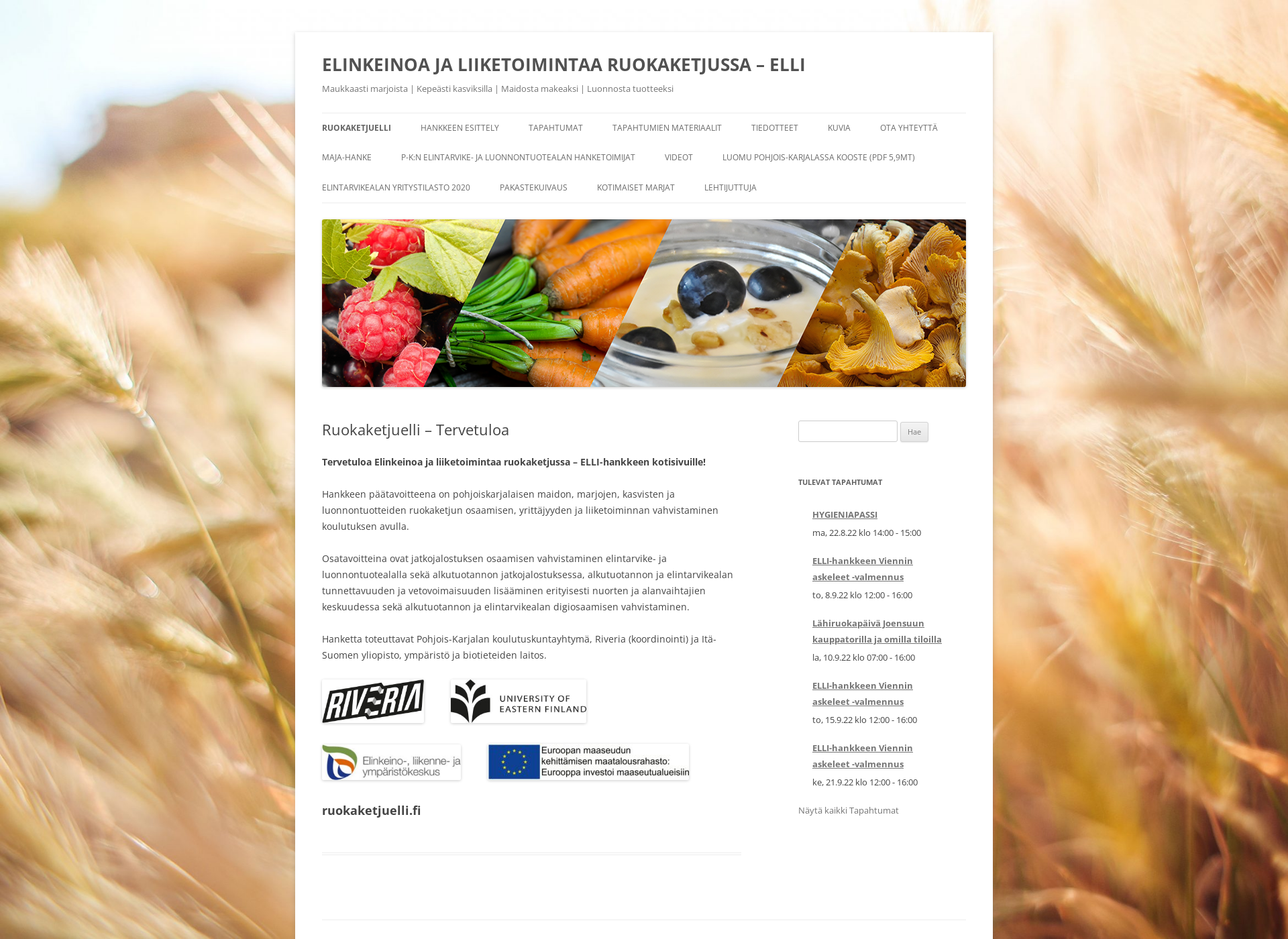 Screenshot for ruokaketjuelli.fi