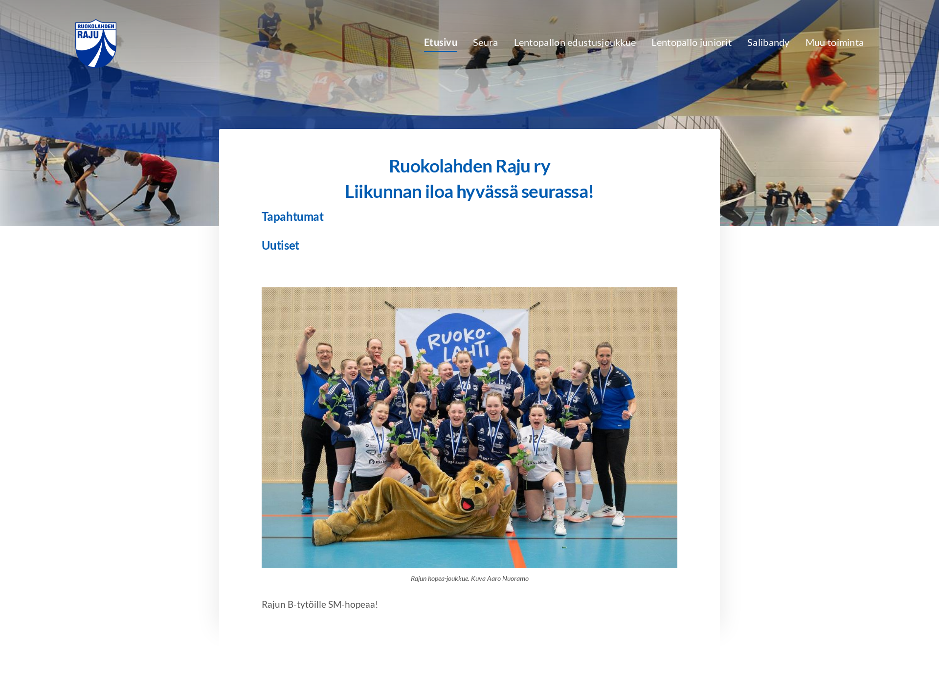 Screenshot for ruokolahdenraju.fi