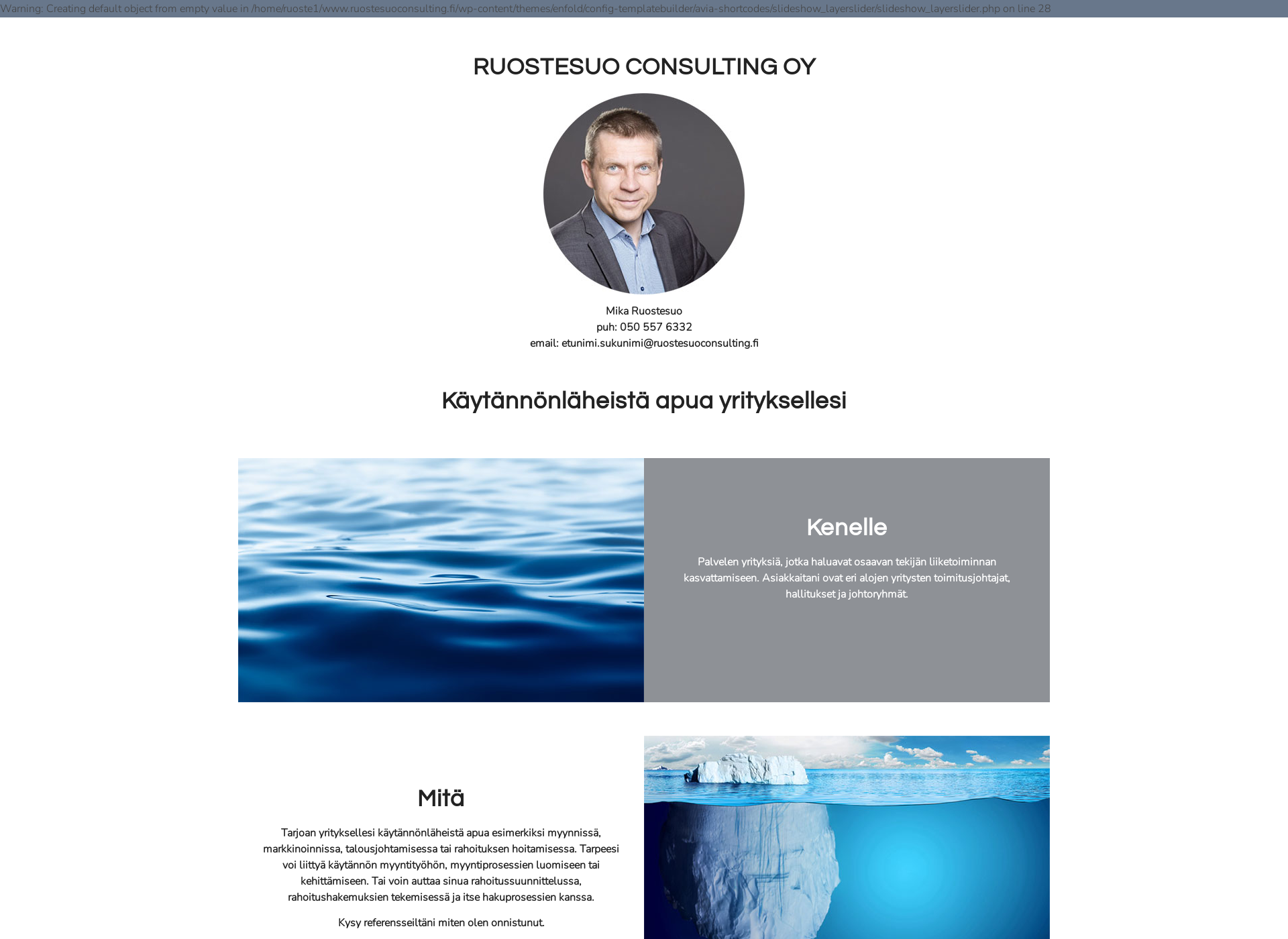 Screenshot for ruostesuoconsulting.fi