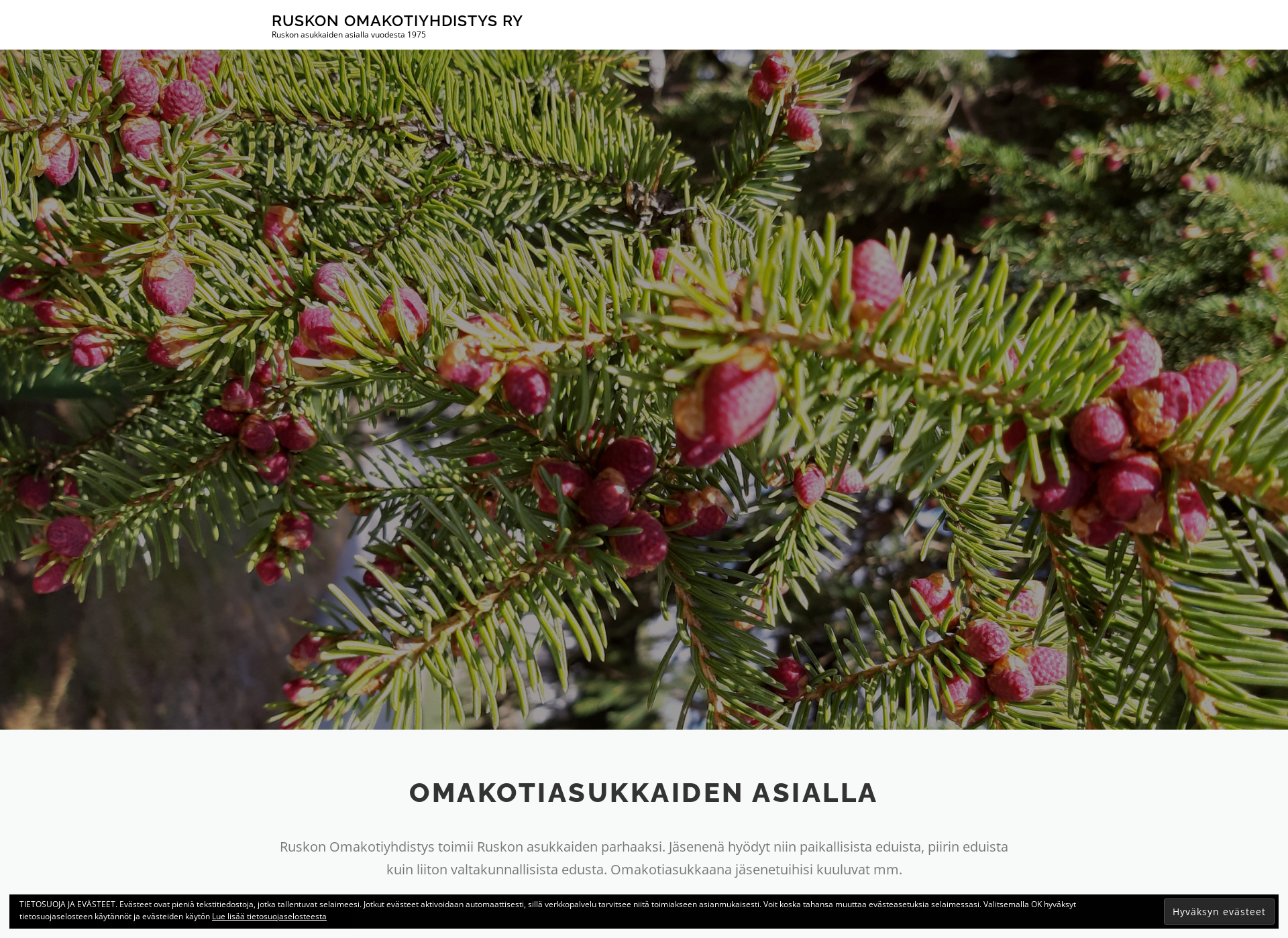 Screenshot for ruskonomakotiyhdistys.fi
