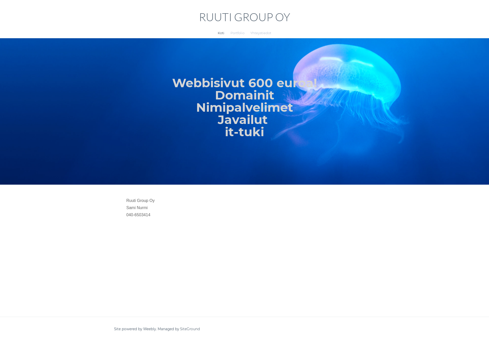 Screenshot for ruutigroup.fi