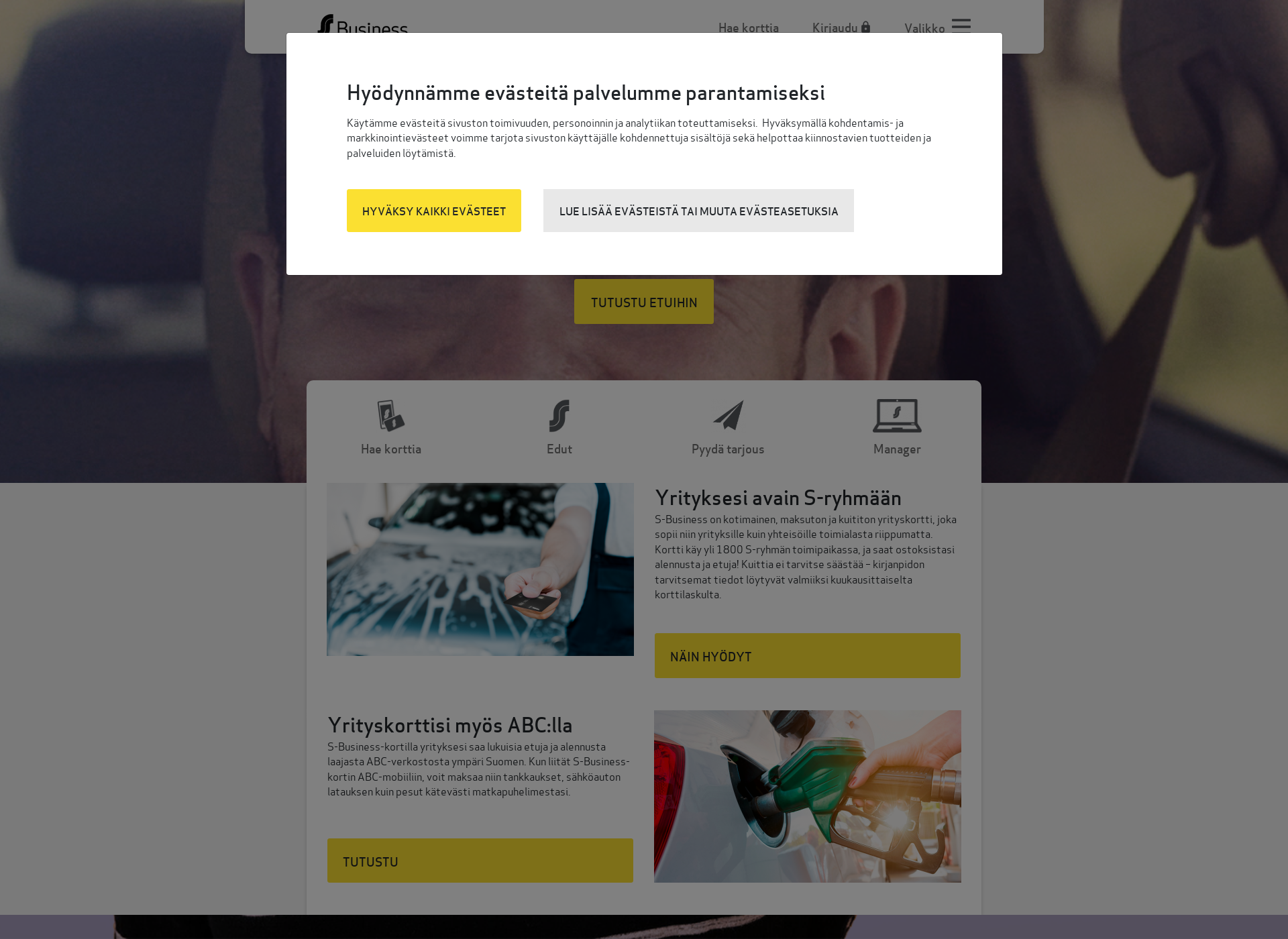 Screenshot for s-business.fi