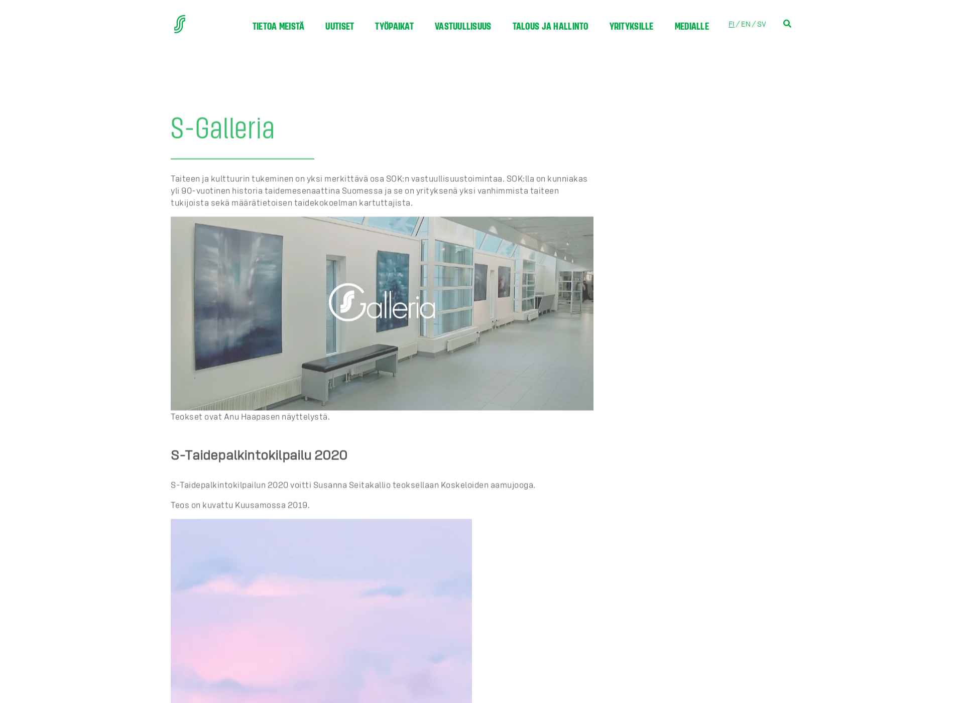 Screenshot for s-galleria.fi