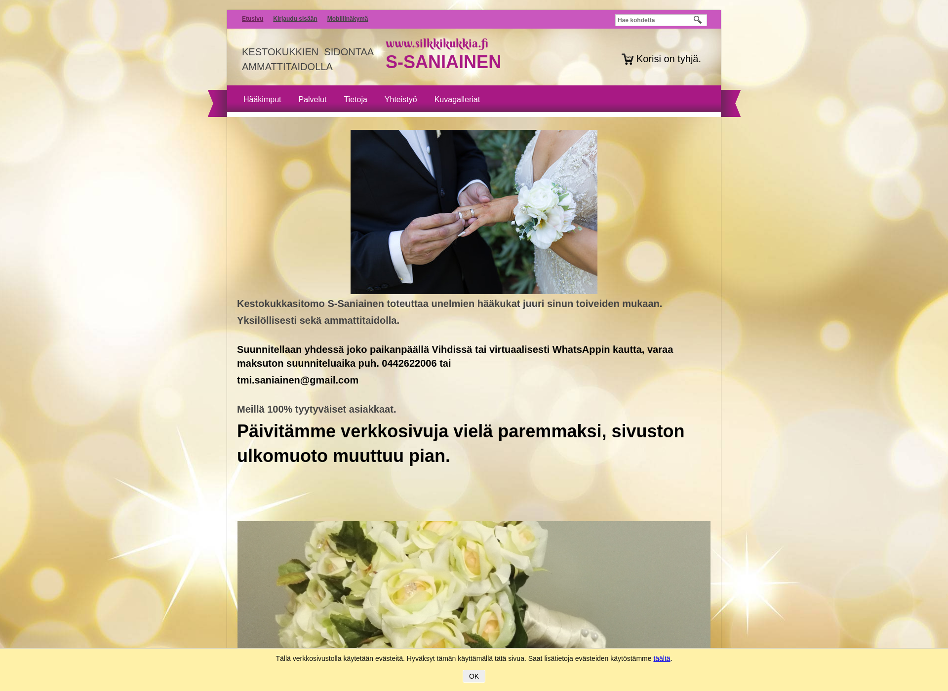 Skärmdump för s-saniainen.fi