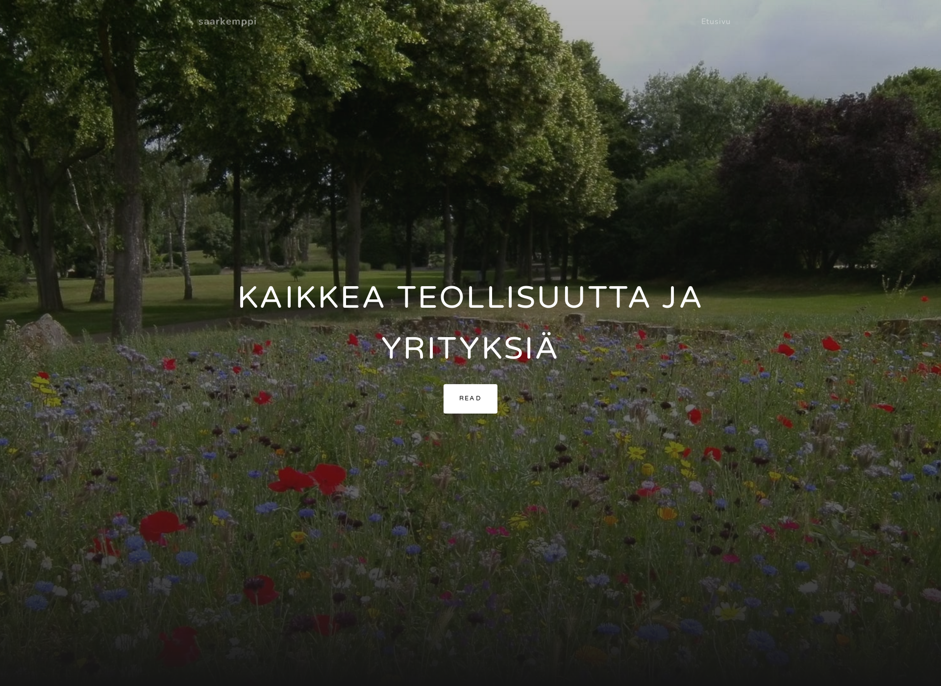 Screenshot for saarakemppi.fi