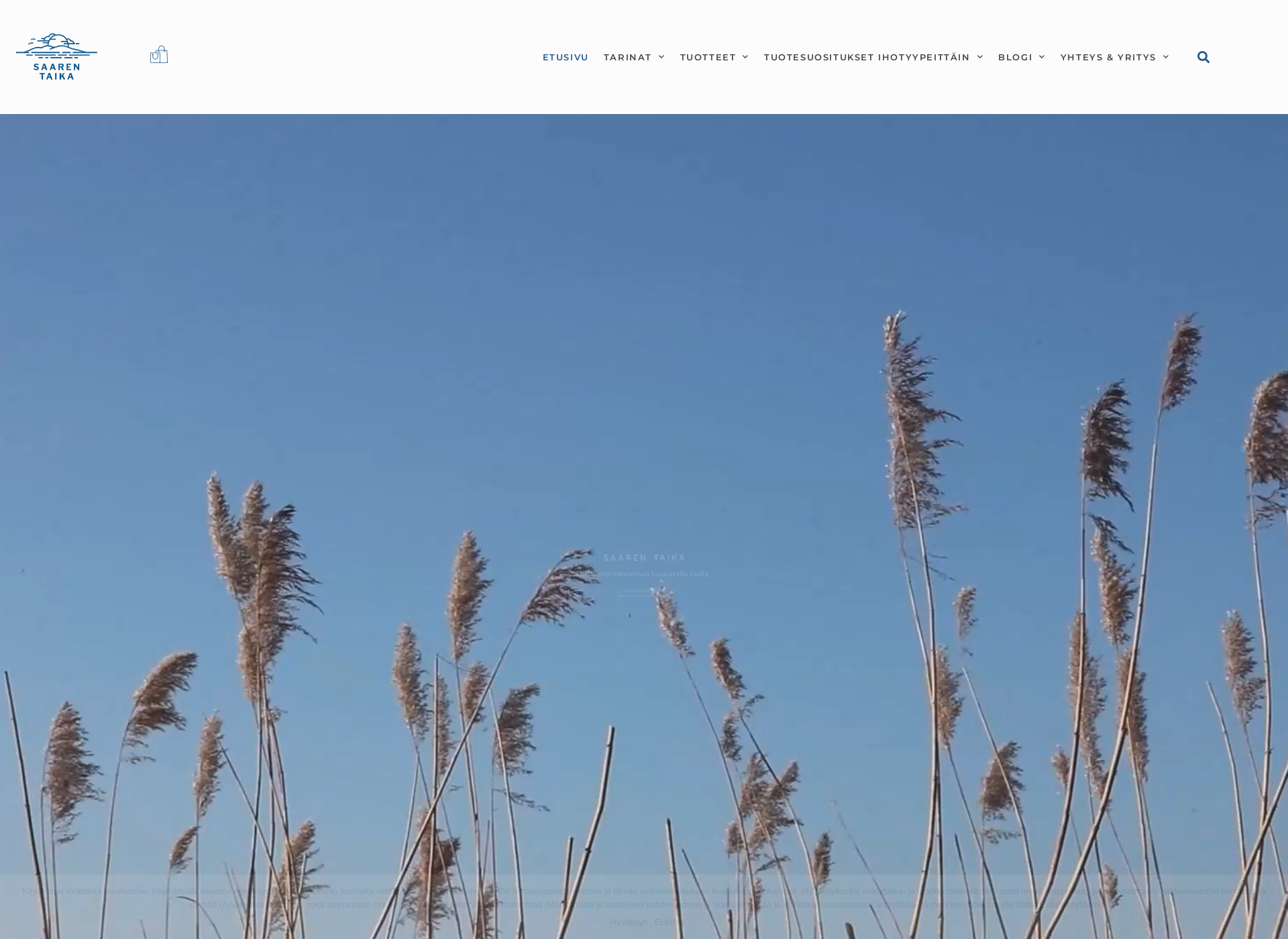Screenshot for saarentaika.com