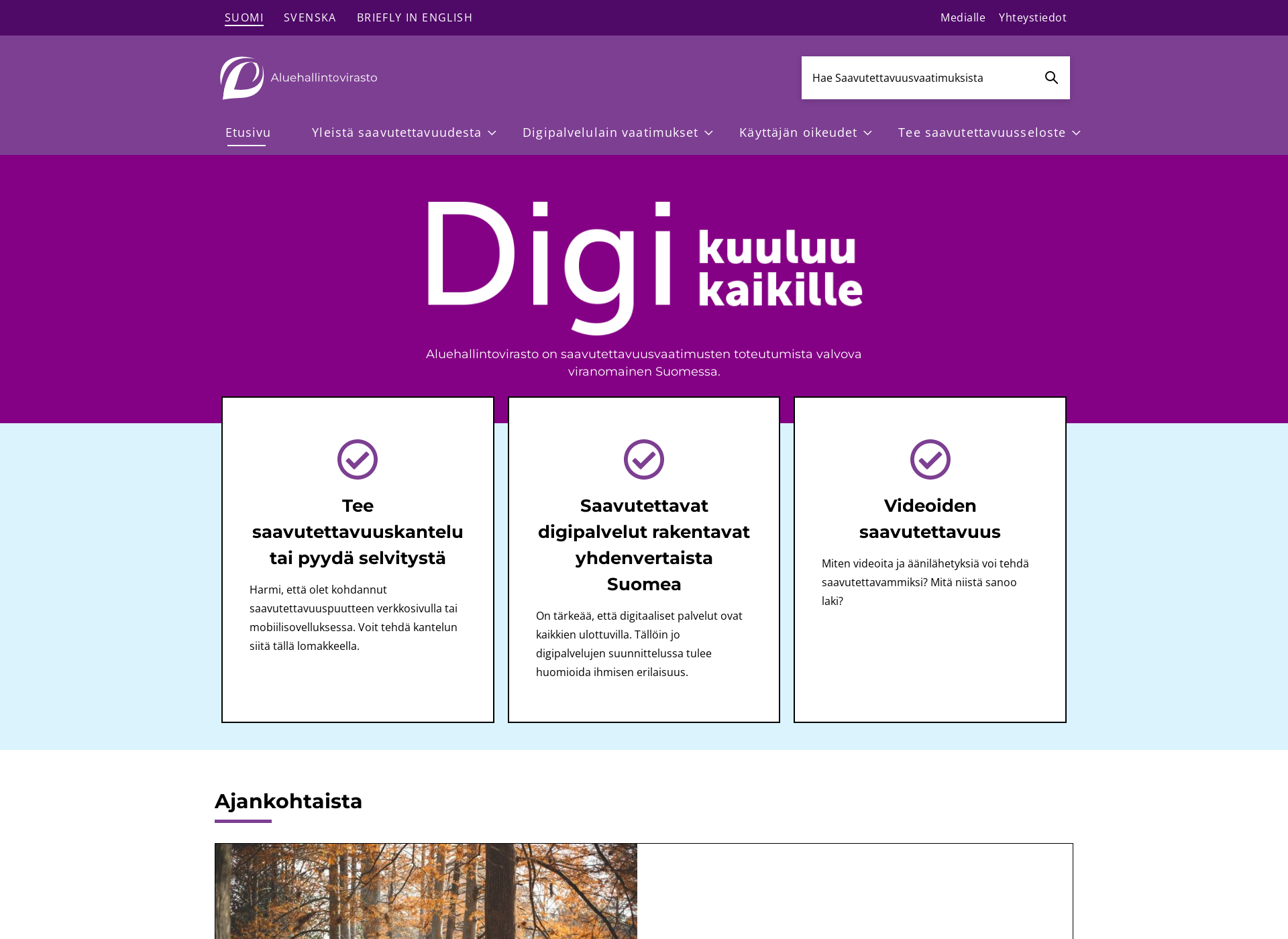 Skärmdump för saavutettavuusvaatimukset.fi