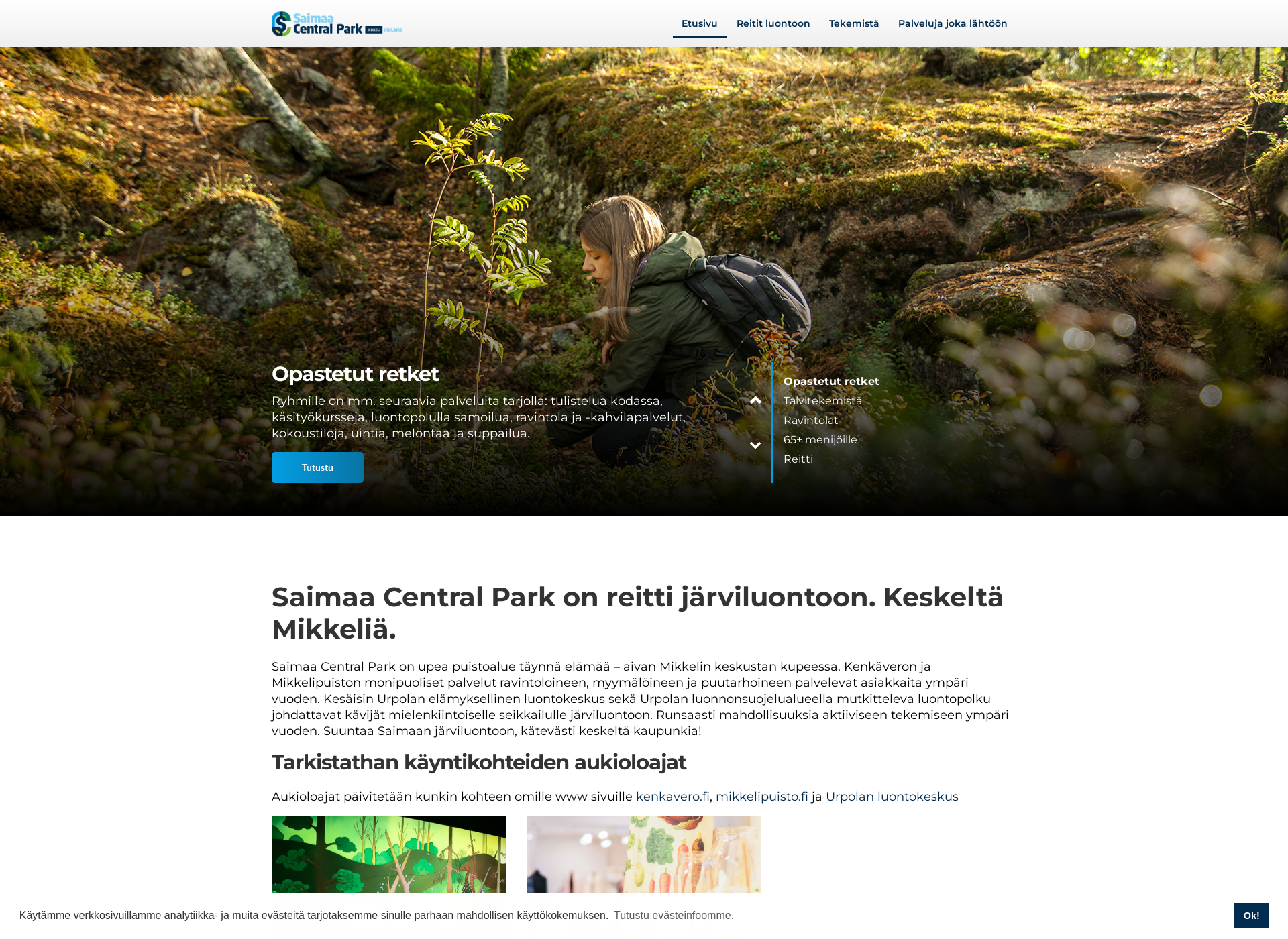 Skärmdump för saimaacentralpark.fi