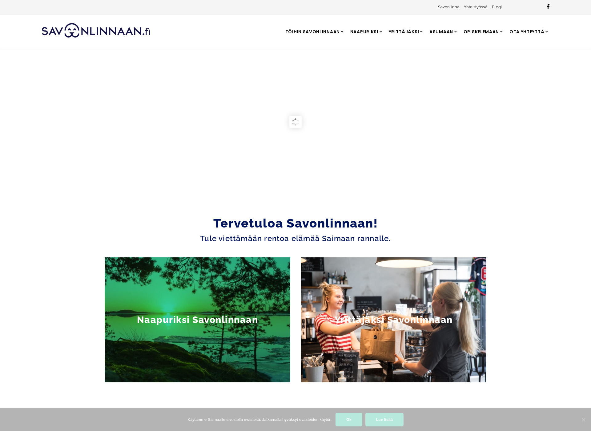 Screenshot for saimaalle.fi
