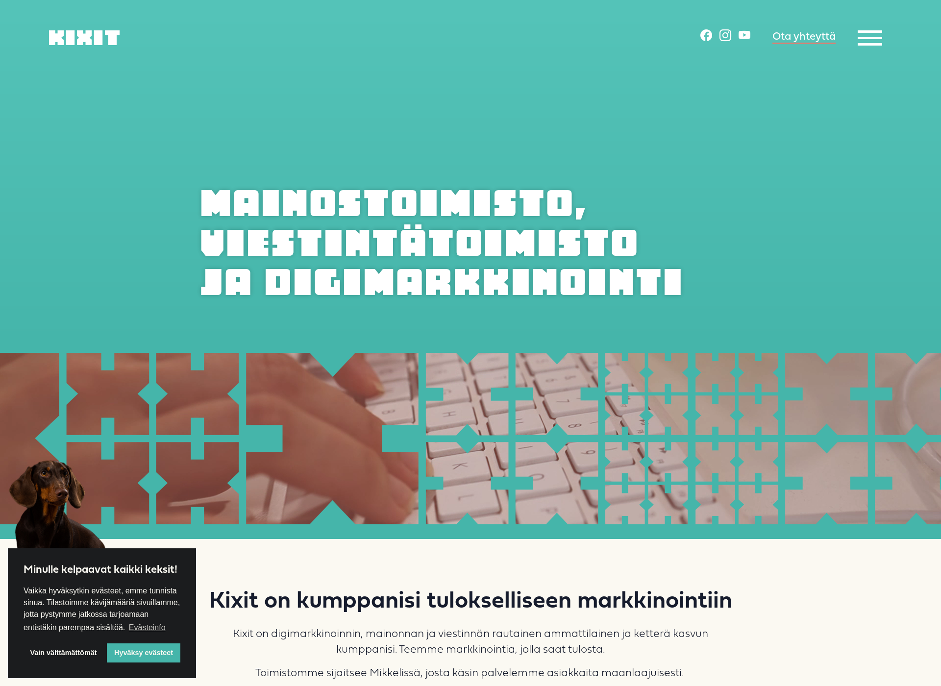 Skärmdump för saimaashop.fi