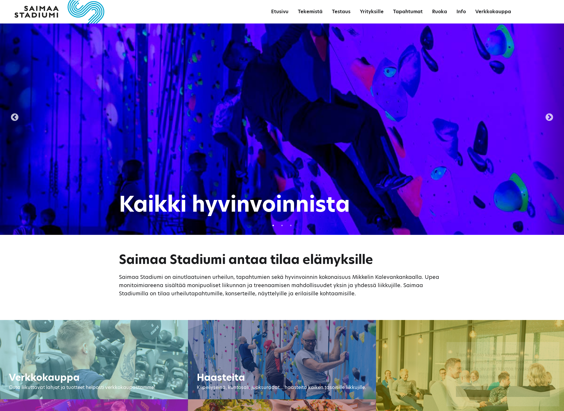 Screenshot for saimaastadiumi.fi