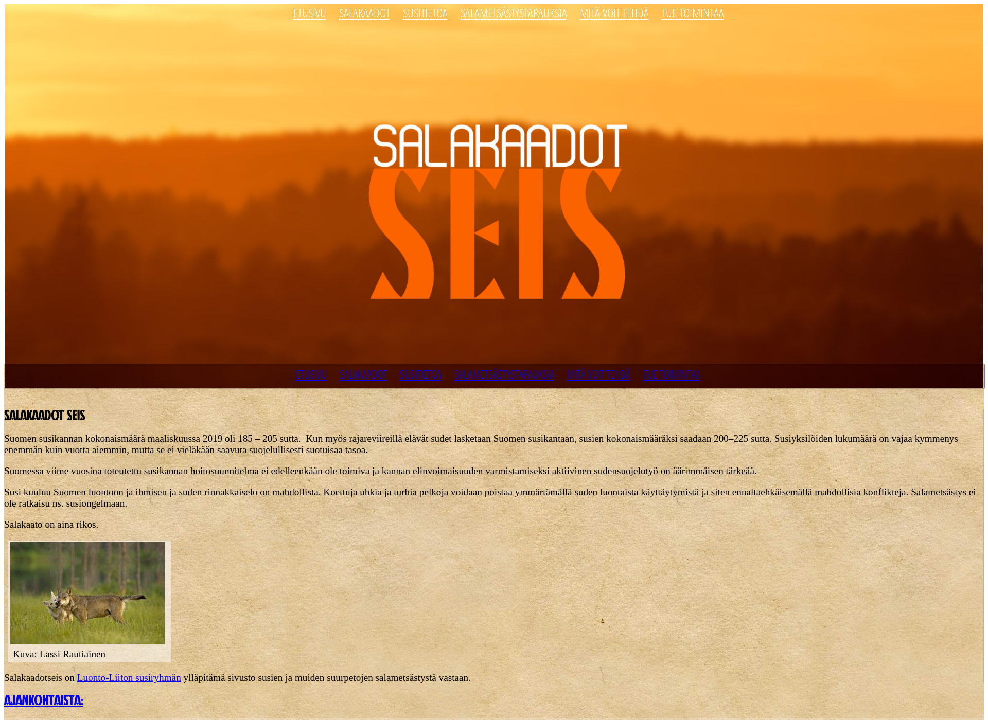 Skärmdump för salakaadotseis.fi