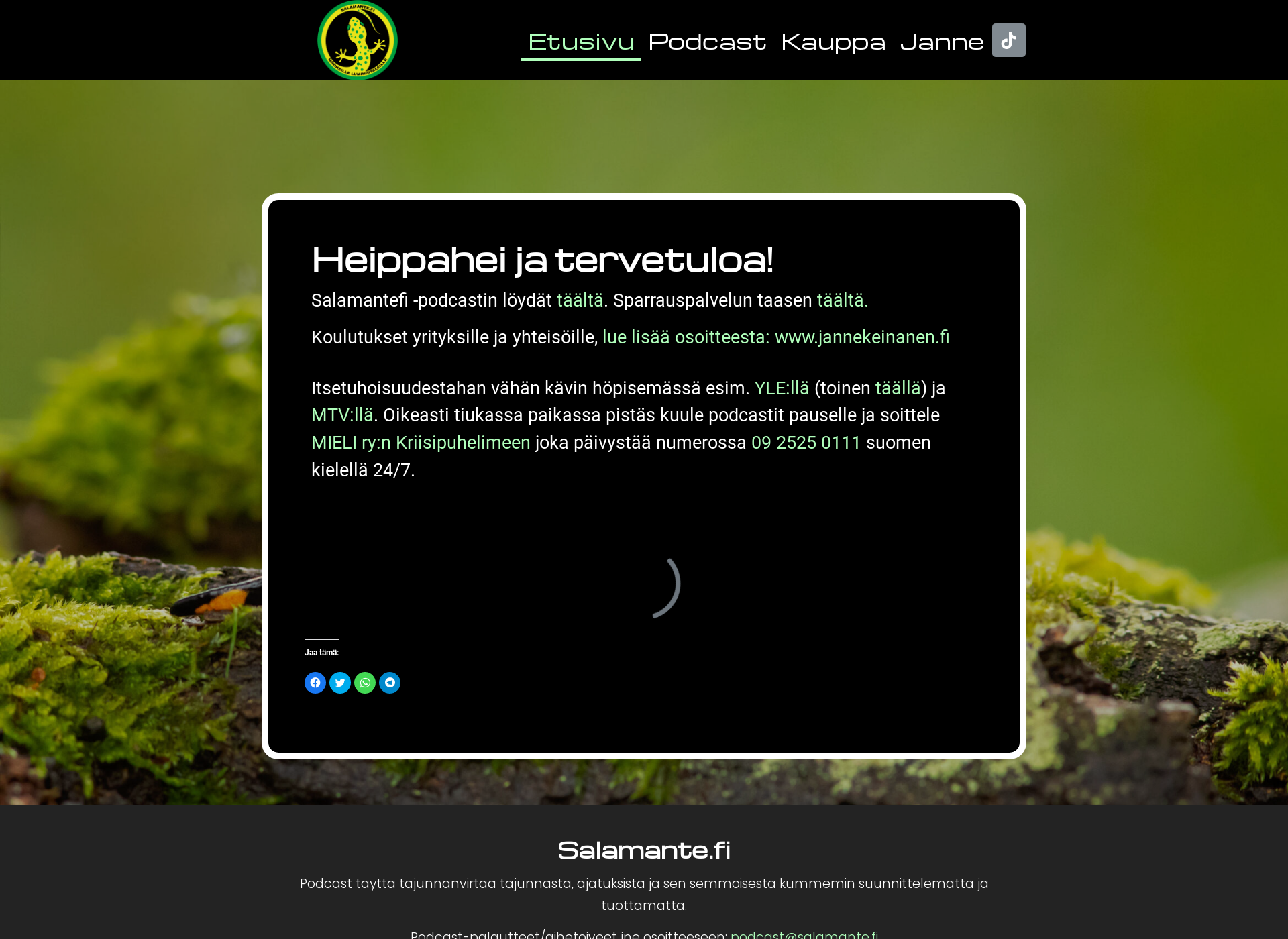 Screenshot for salamante.fi