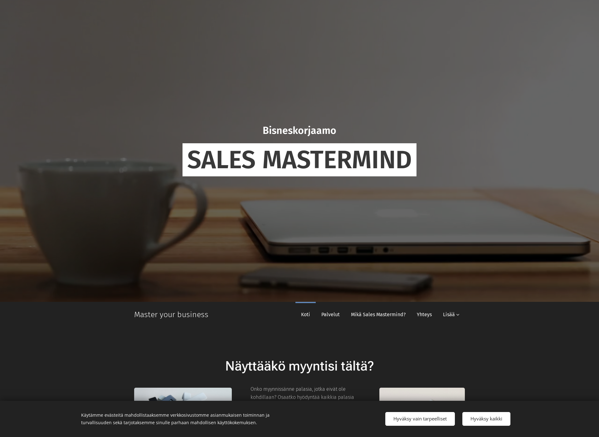 Skärmdump för salesmastermind.fi