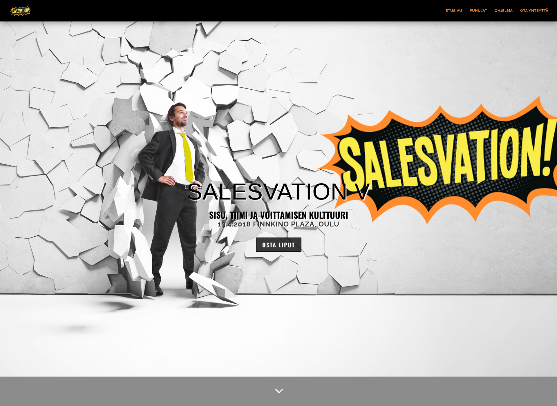 Skärmdump för salesvation.fi