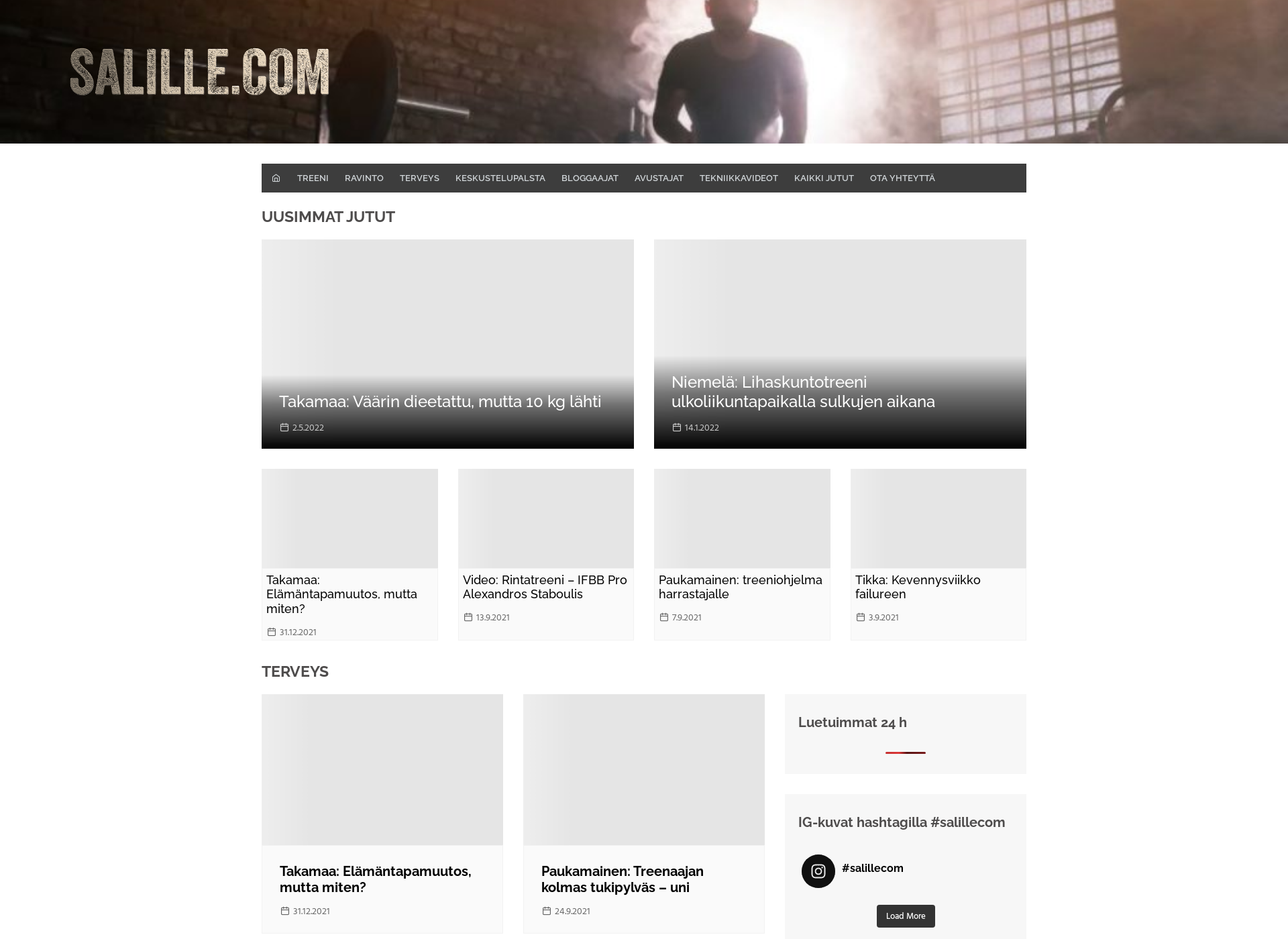 Screenshot for salille.com