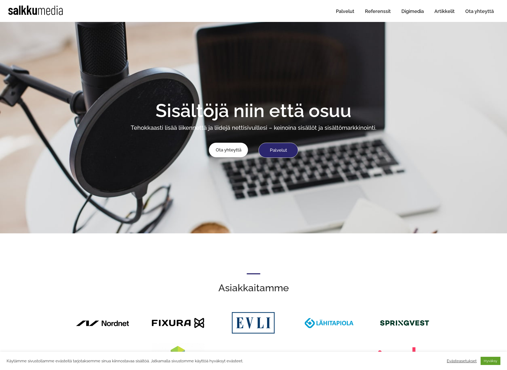 Screenshot for salkkumedia.fi