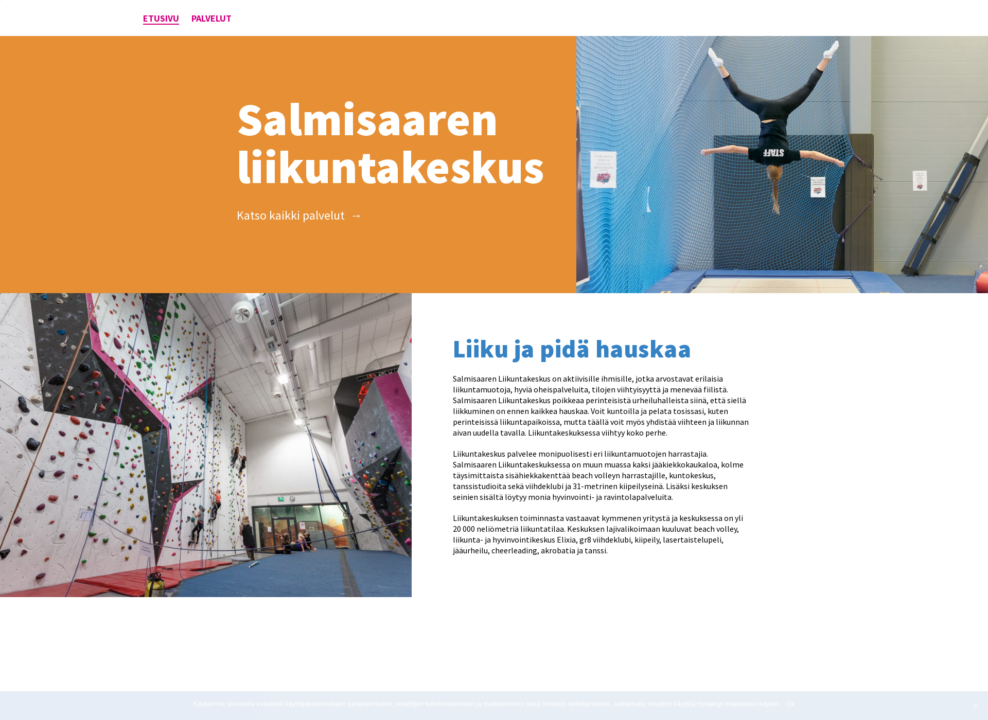 Skärmdump för salmisaarenliikuntakeskus.fi
