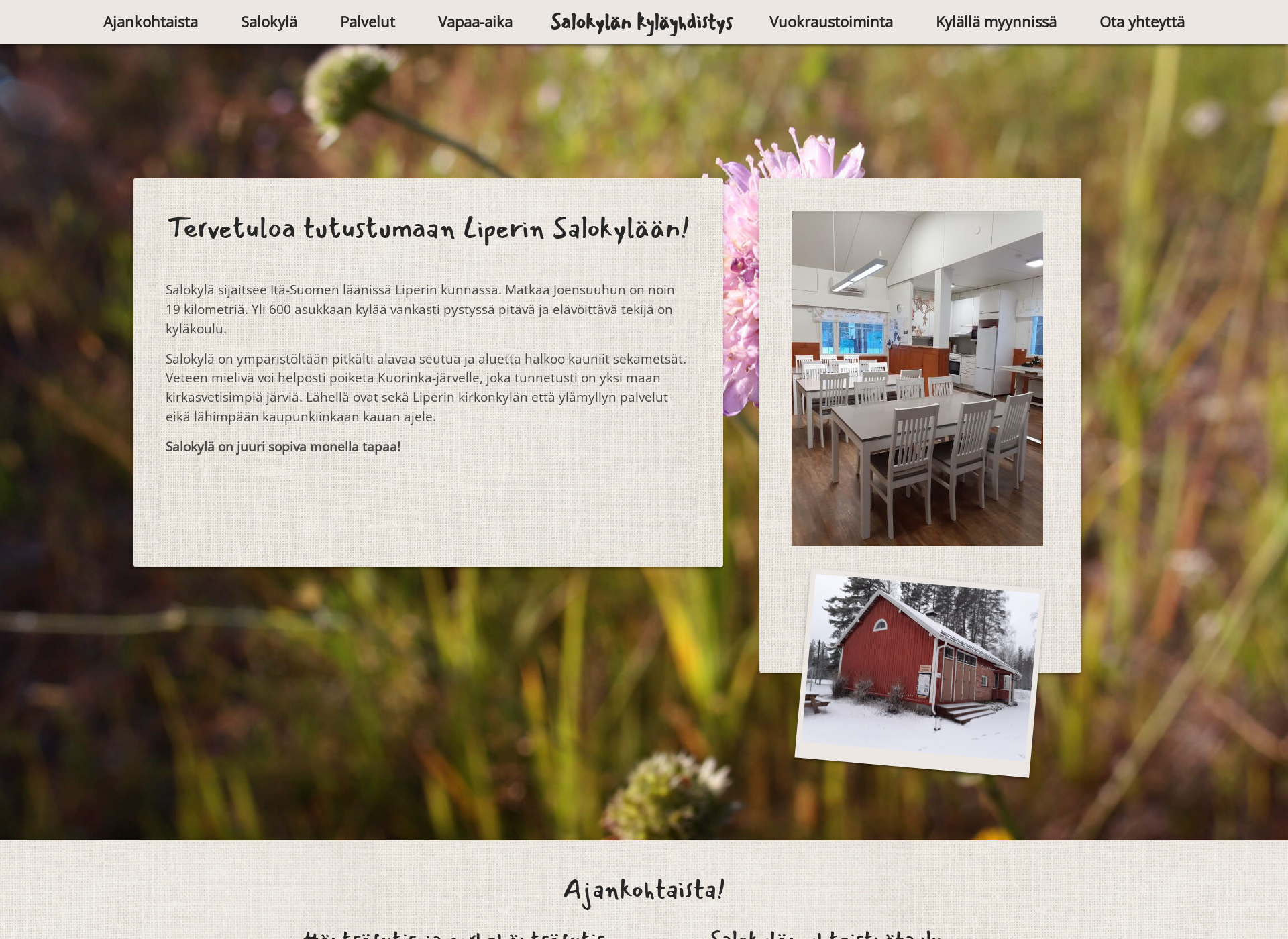 Screenshot for salokyla.fi