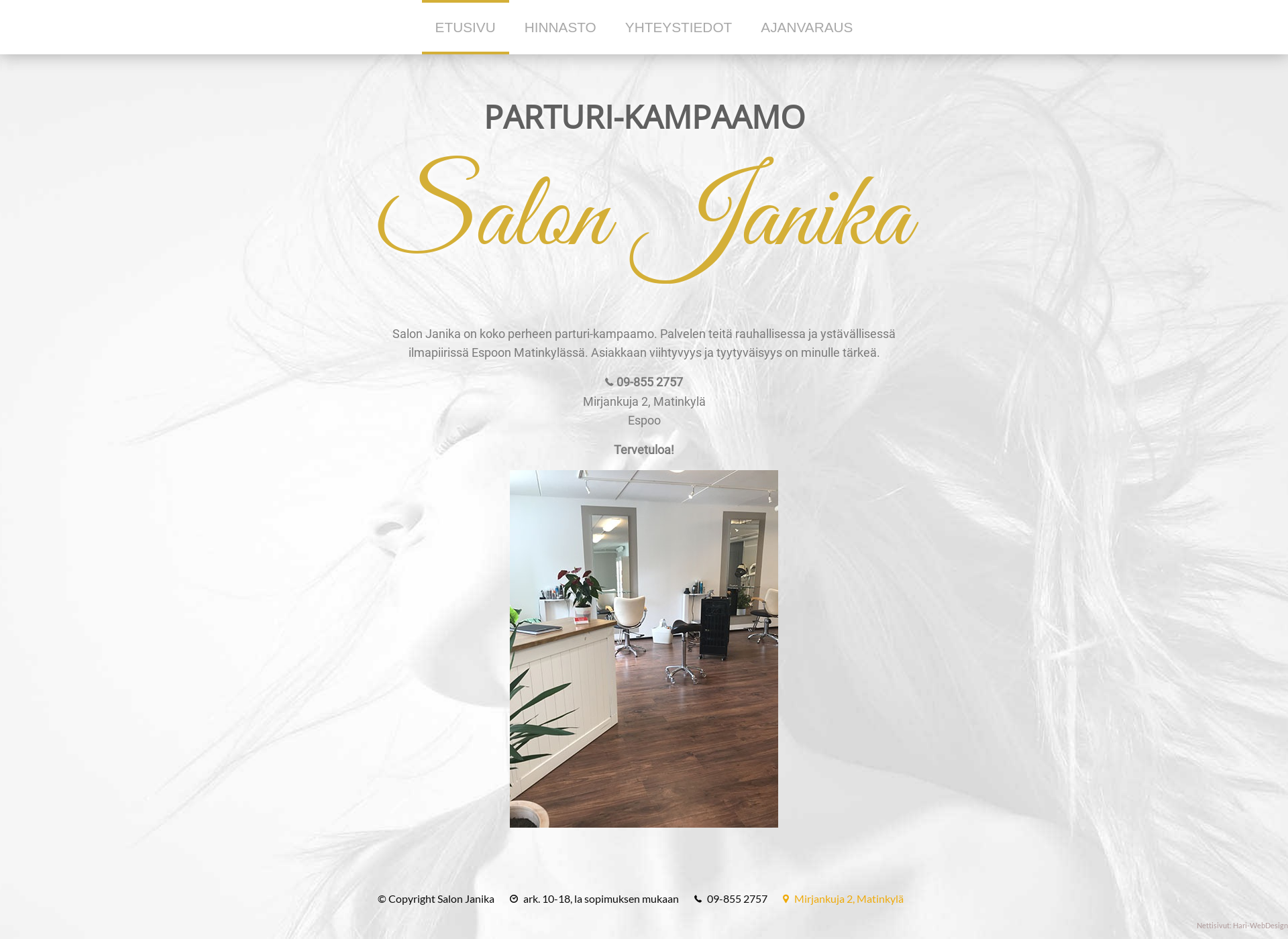 Screenshot for salonjanika.fi