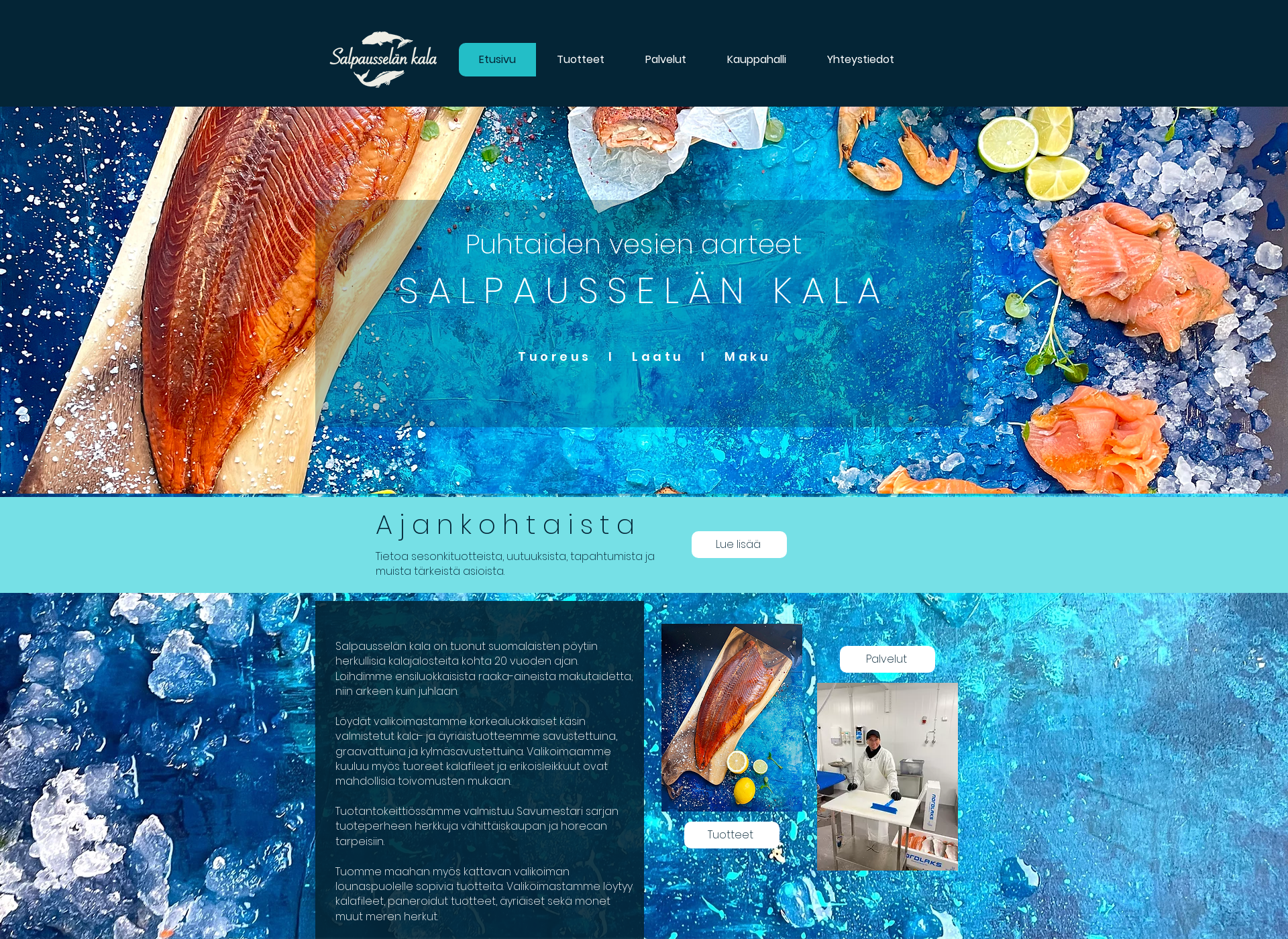 Skärmdump för salpausselankala.fi