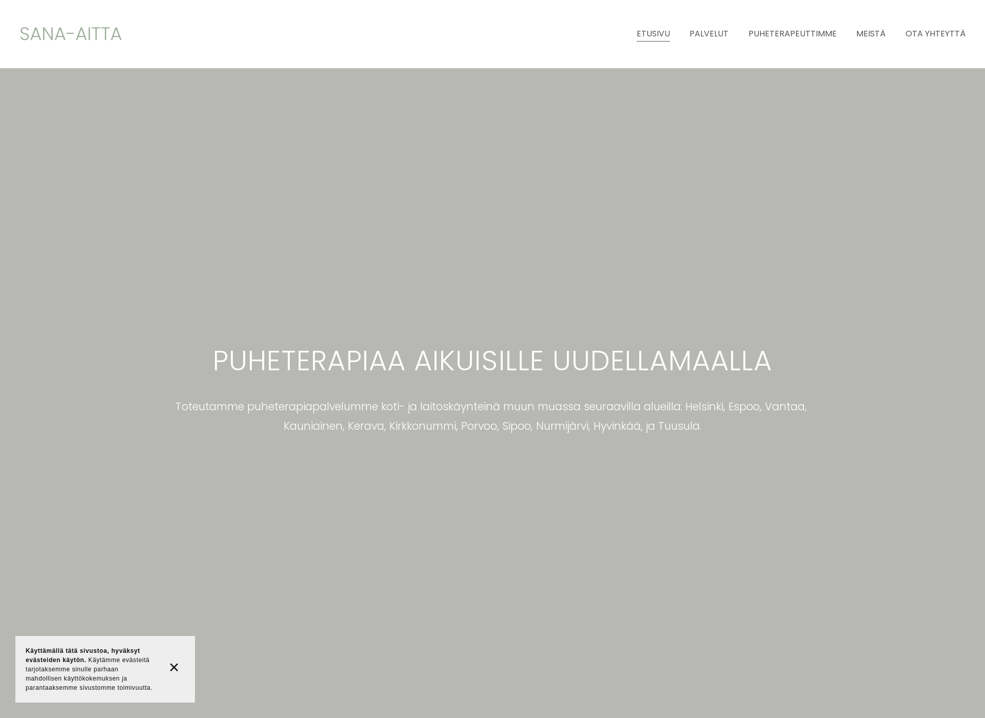 Skärmdump för sana-aitta.fi
