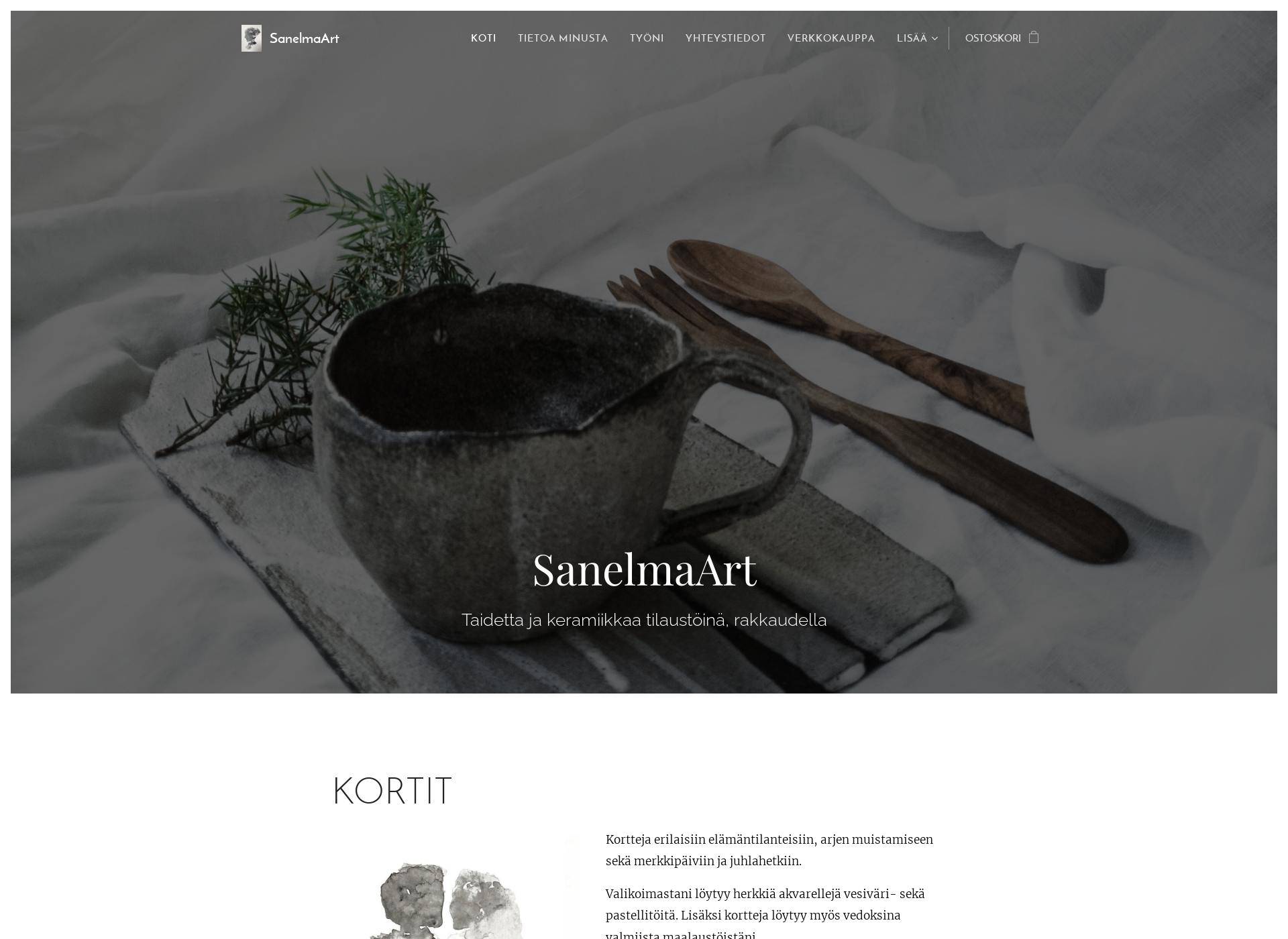 Screenshot for sanelmaart.fi