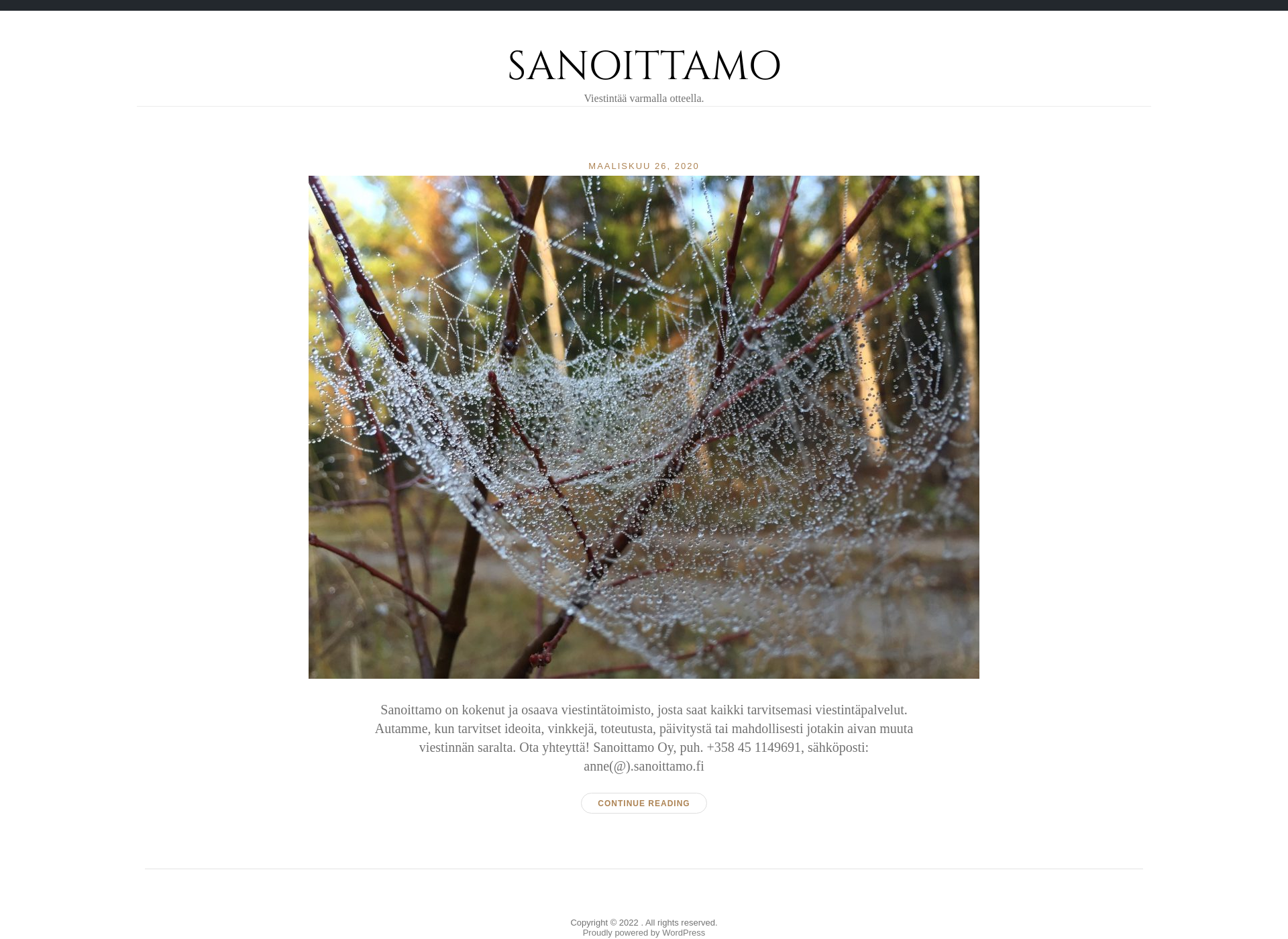 Screenshot for sanoittamo.fi